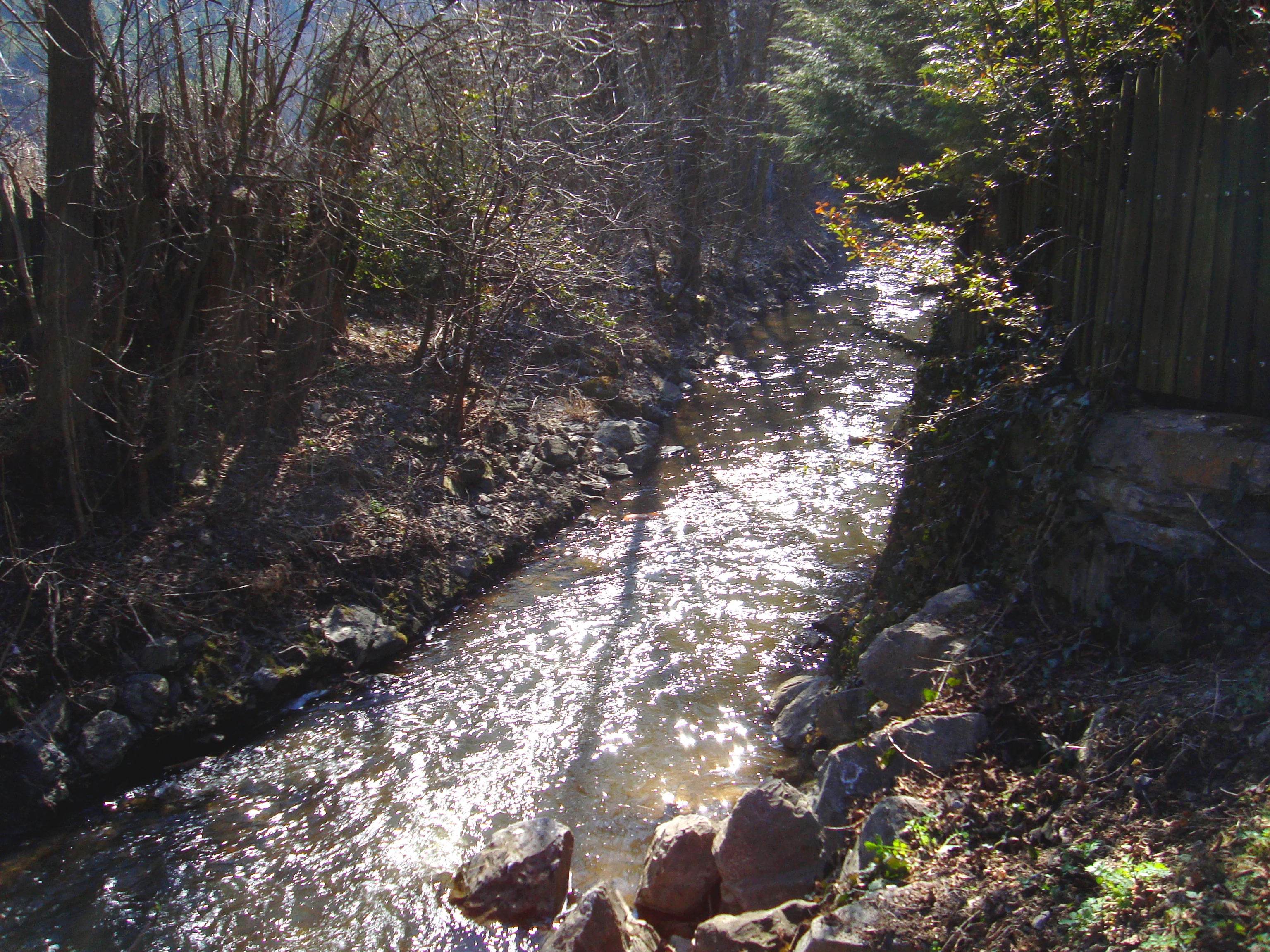 A narrow, sunlit stream flows through a wooded valley with rocky banks and trees along the sides.