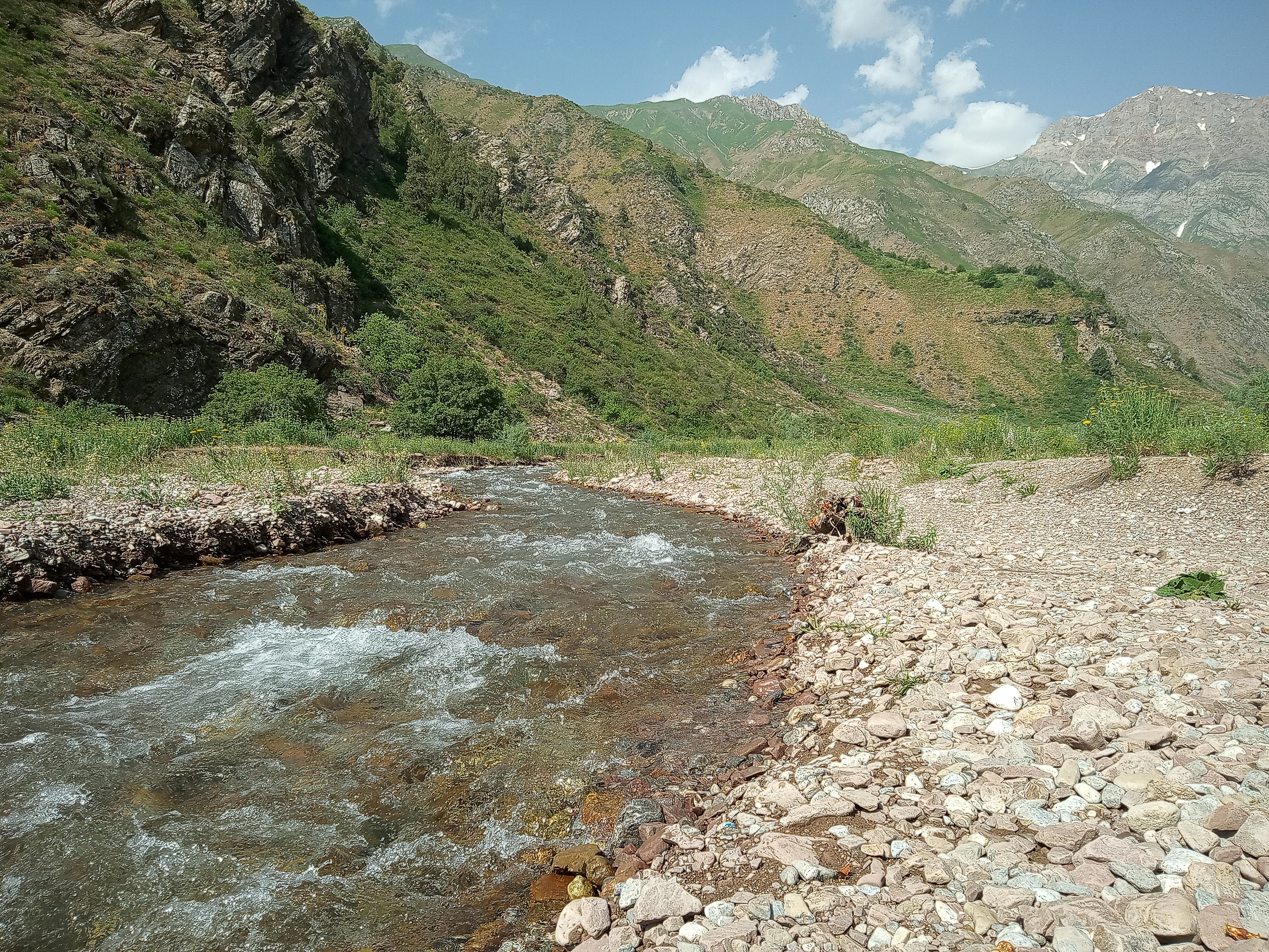 River flowing through rocky riverbank with mountainous backdrop in natural landscape