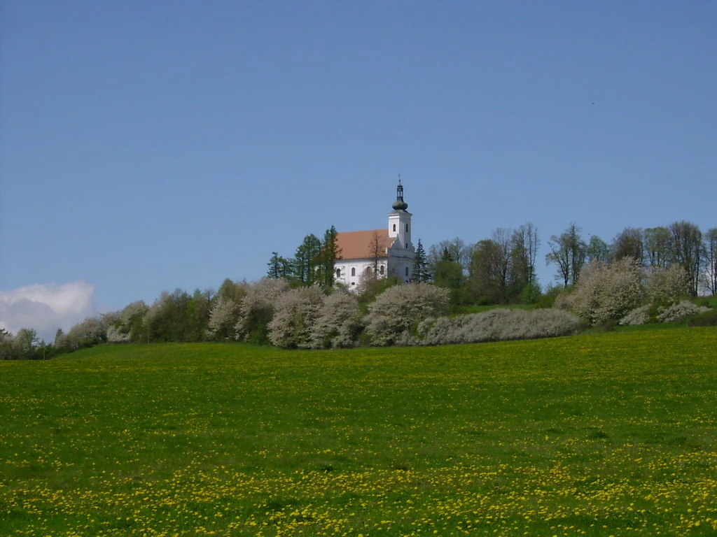 A white pilgrimage church with a tall steeple stands on a grassy hill, framed by blooming trees and a green meadow under a clear blue sky.