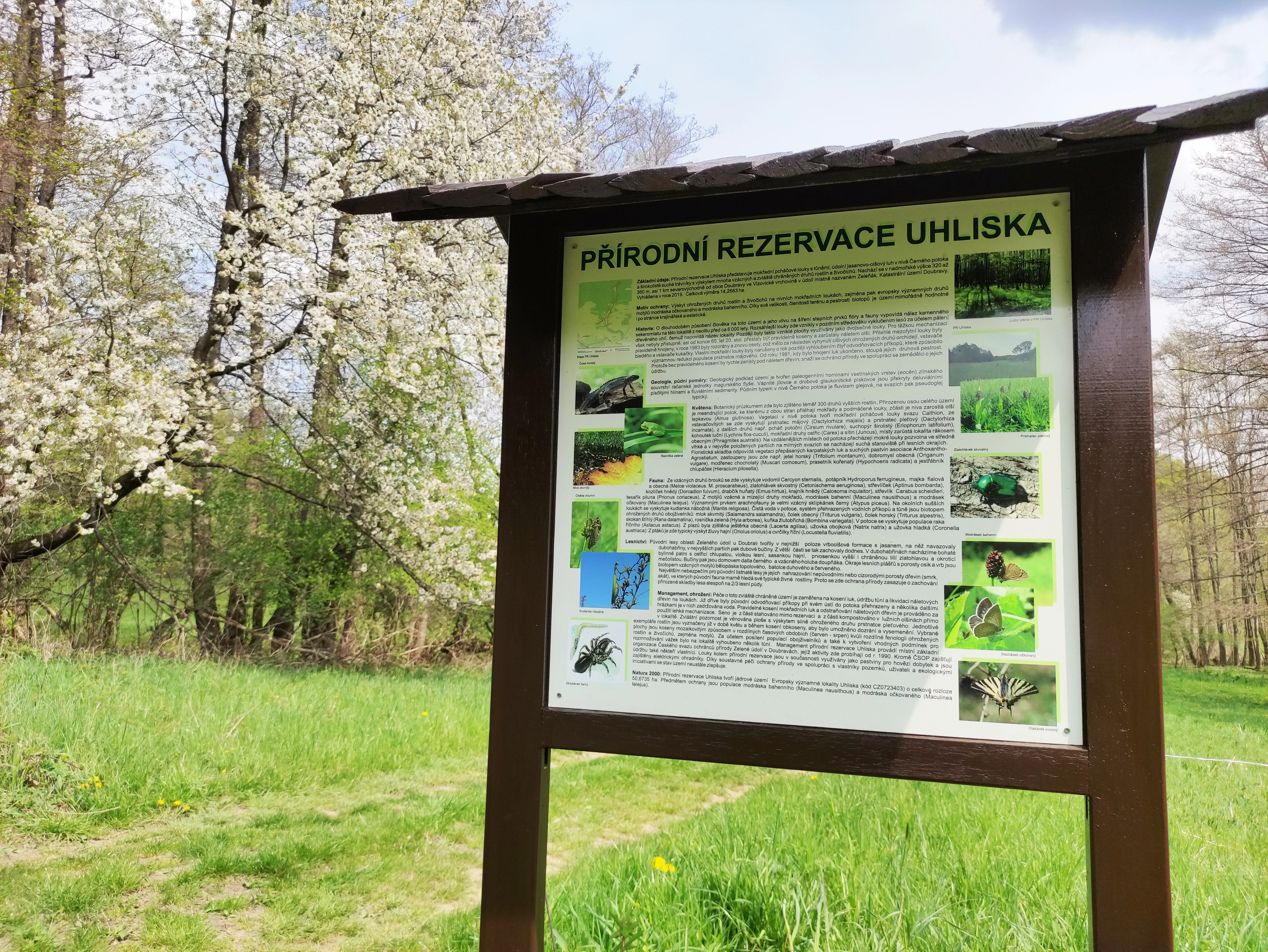 A brown wooden information board stands in a grassy meadow with flowering trees in the background at the Uhliska nature reserve.