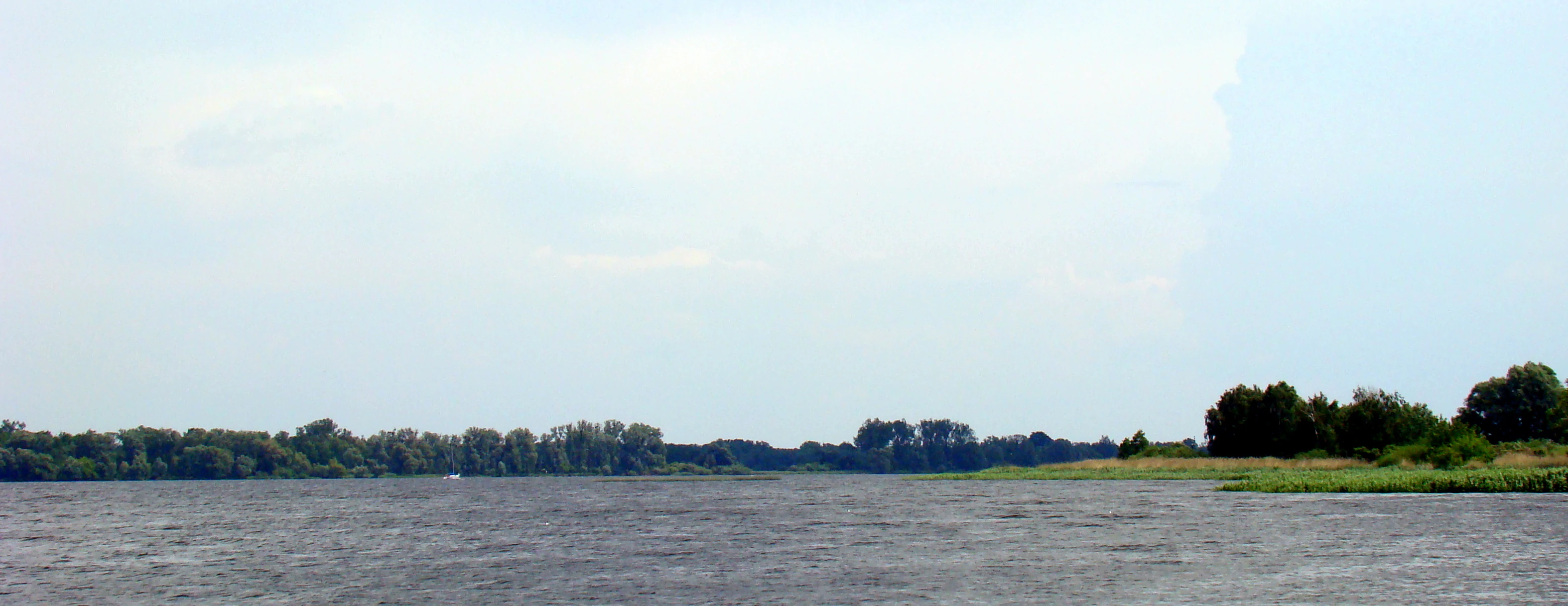 A wide, horizontal view of a broad river estuary with calm, dark water in the foreground and a line of green trees and grasslands along the horizon under an overcast sky.