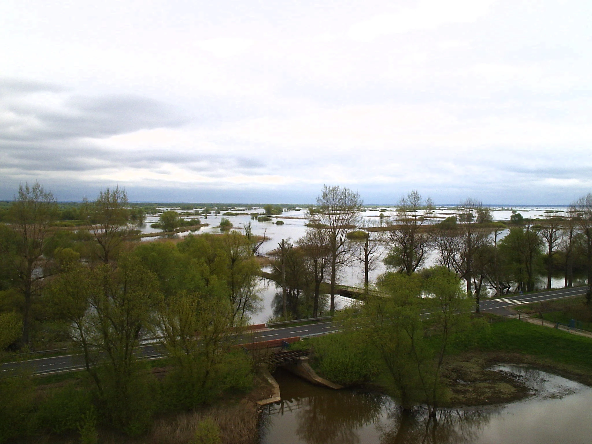 An expansive, flooded wetland area with scattered trees, a road crossing the water, and an overcast sky.