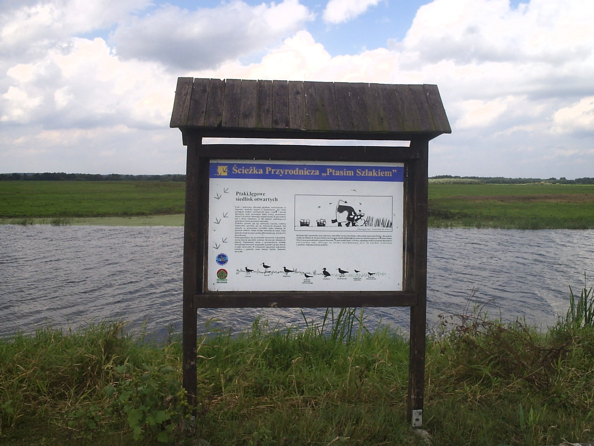 A wooden educational information board stands on the bank of a marshy waterway in a national park.
