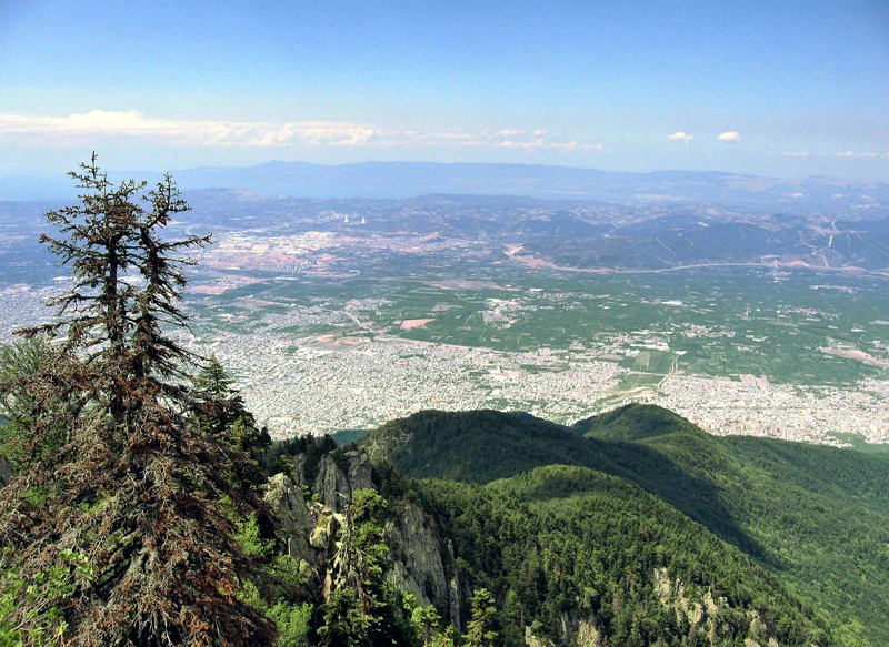 A panoramic view from a forested hillside overlooking Bursa city with distant mountains under a clear blue sky
