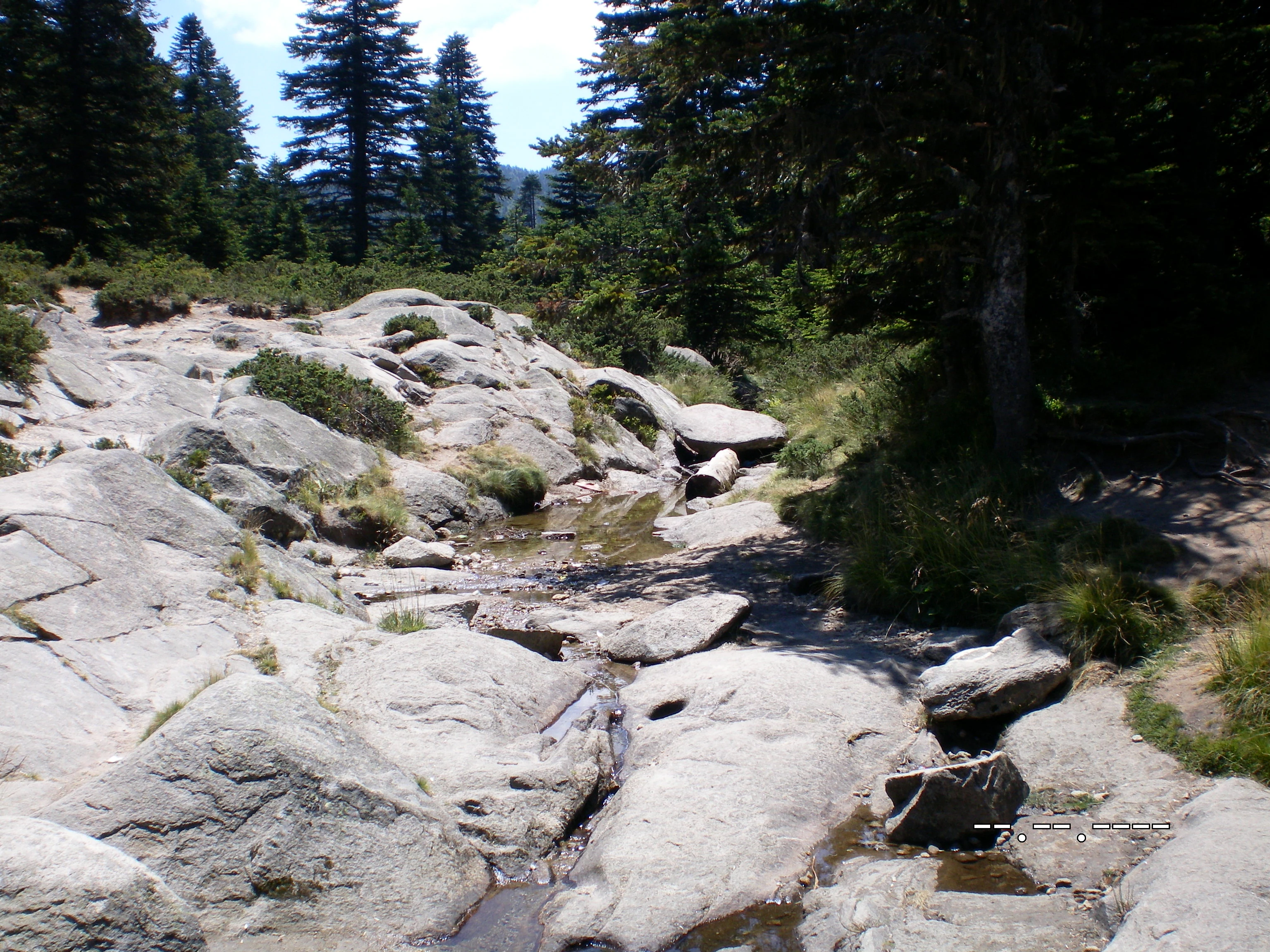 A stream flowing through large rocks with green vegetation and trees in the background
