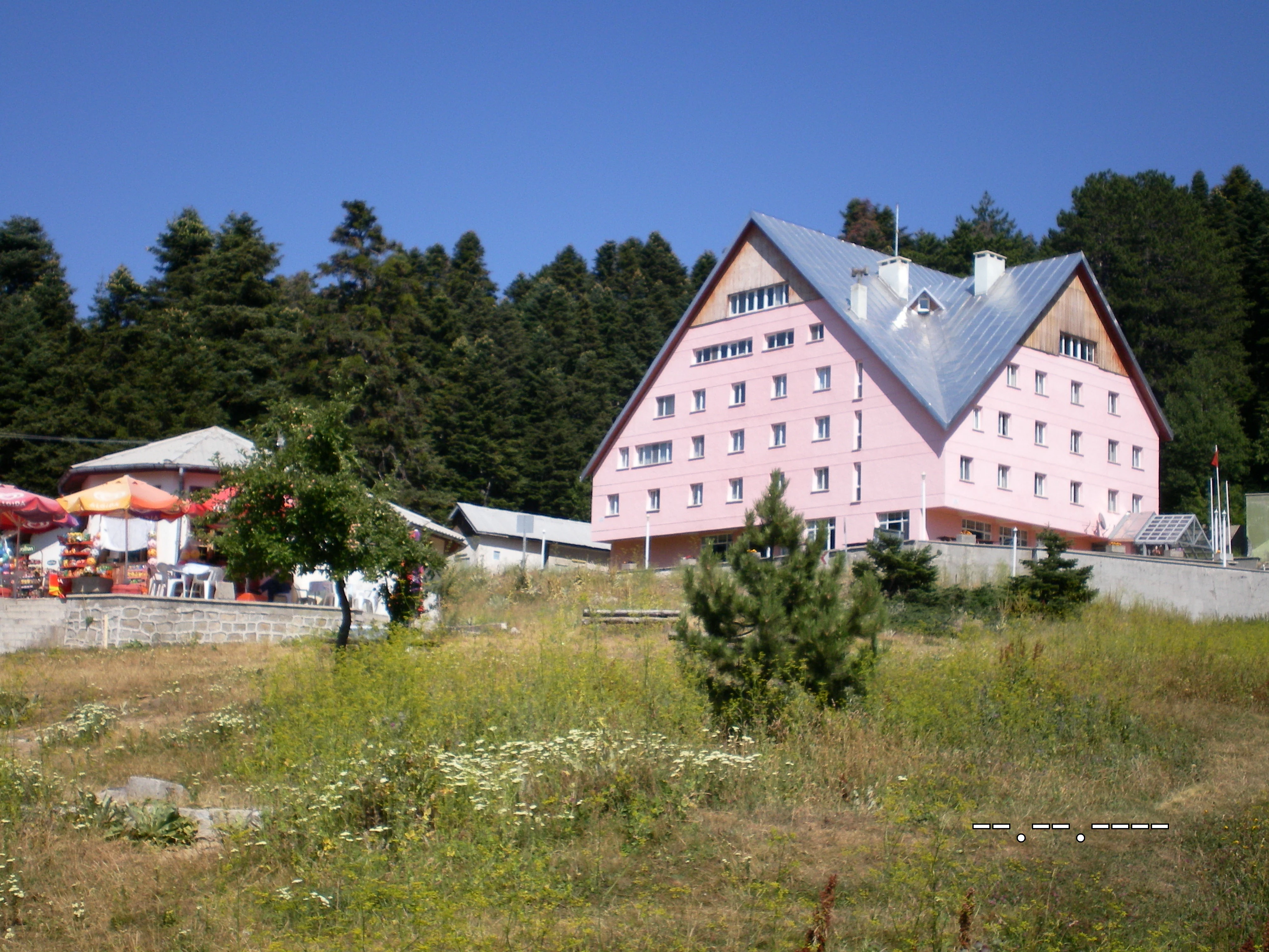 Pink multi-story building with a steep gray roof surrounded by grass, trees, and a clear blue sky