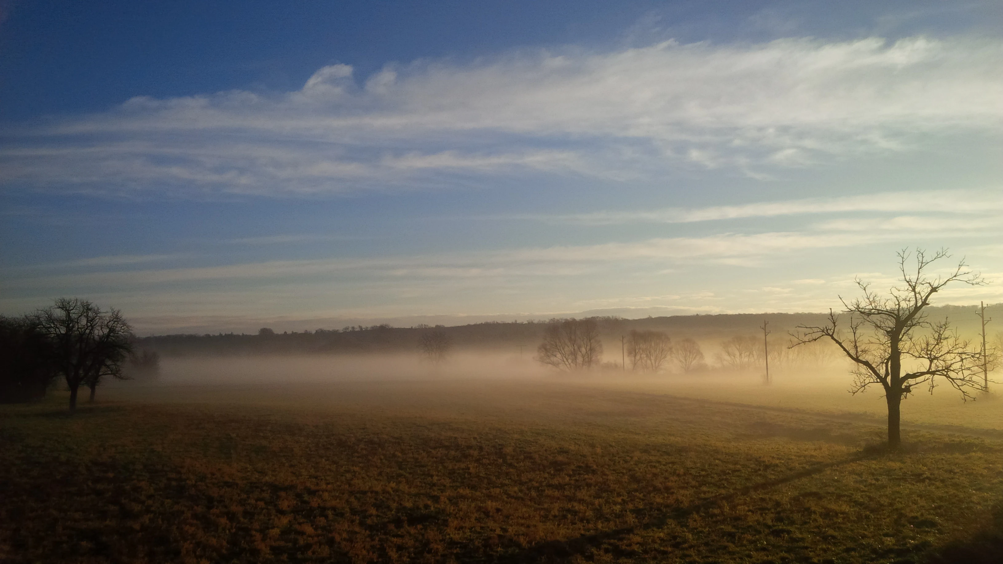 A wide, low-angle view of a flat meadow during golden hour, with thick fog clinging to the ground and silhouetted leafless trees on the horizon and in the foreground.