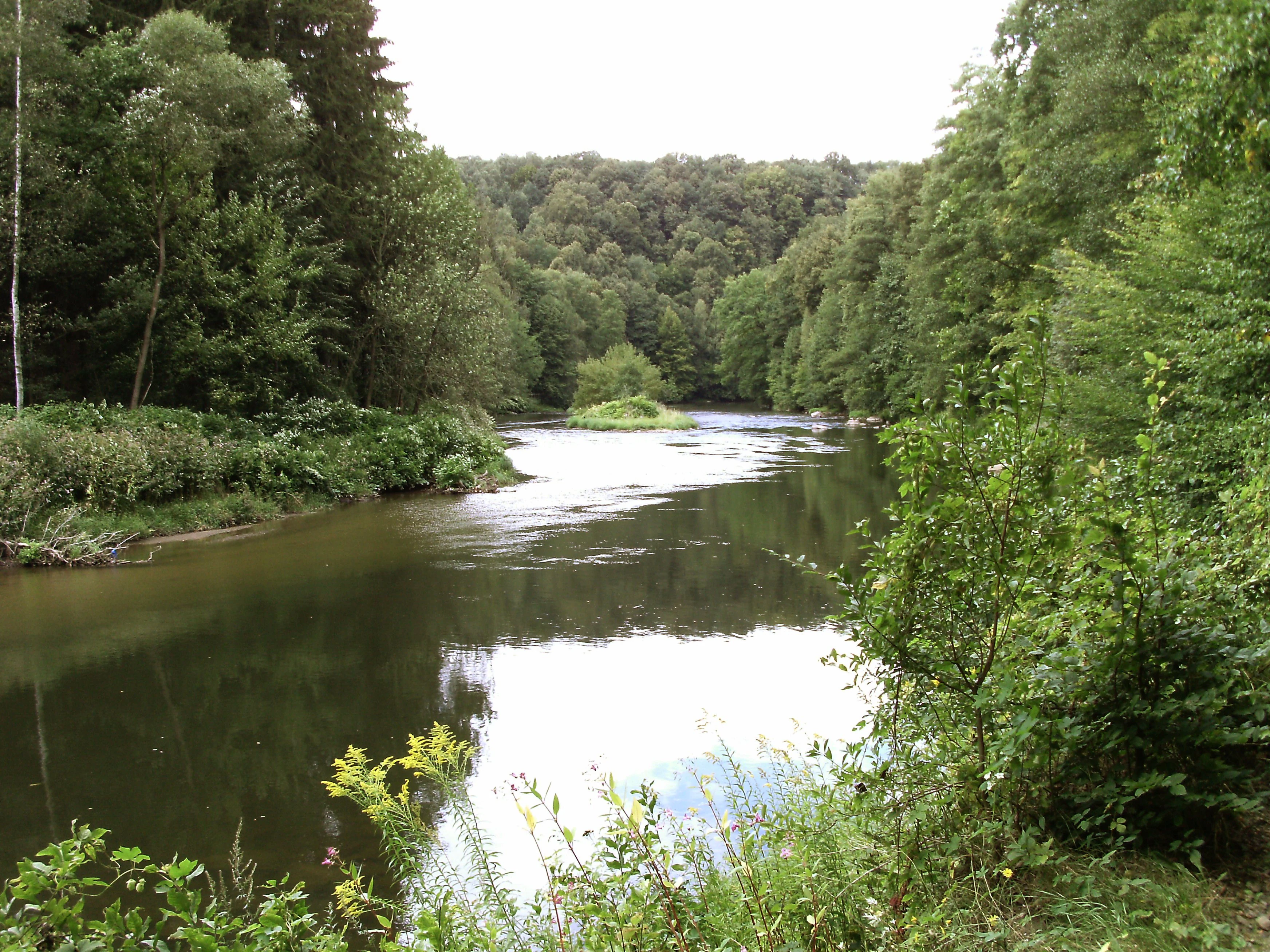 A calm, winding river flows through a dense forest with green trees lining both banks under an overcast sky.