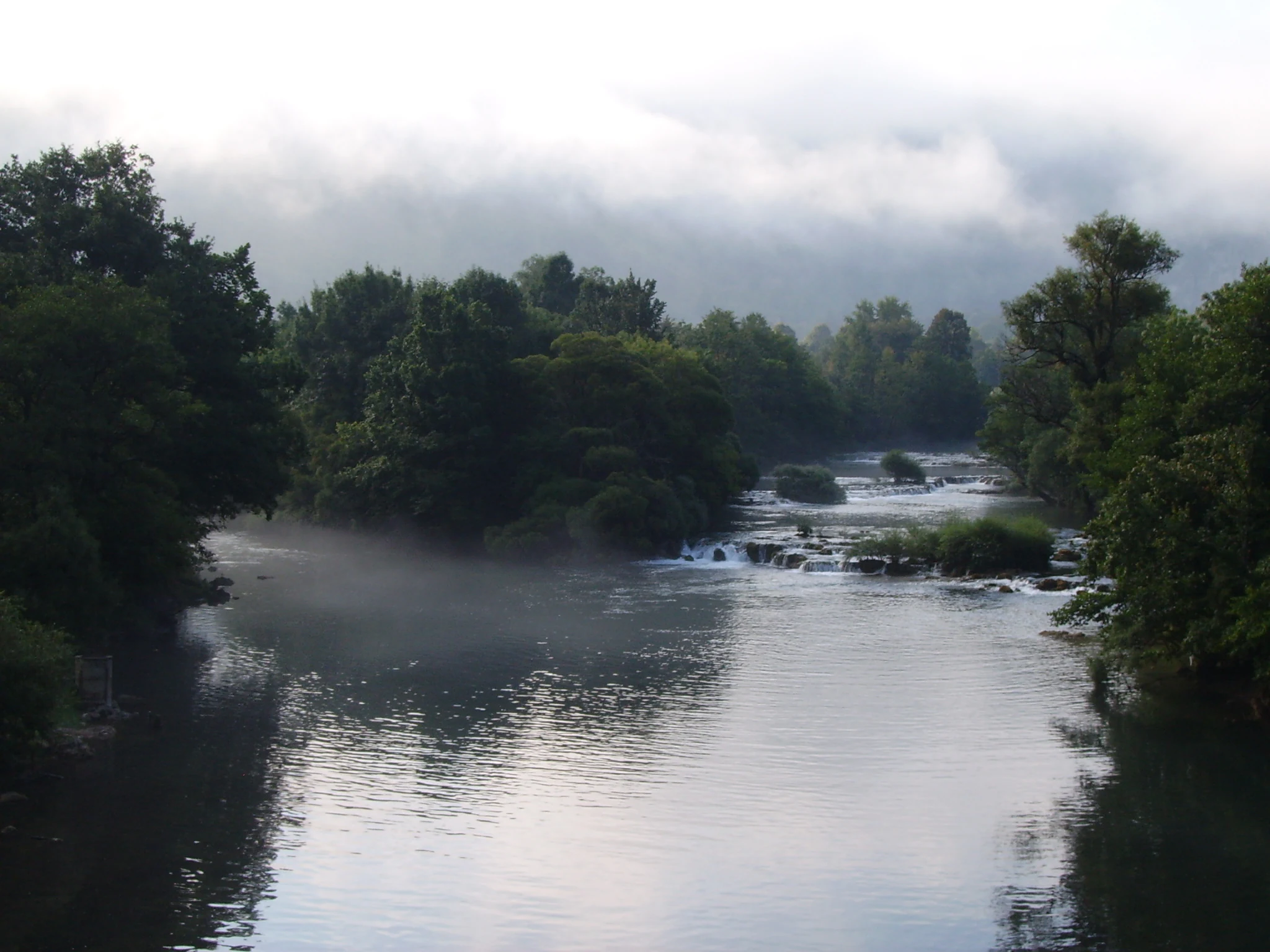 River confluence with mist rising over water, surrounded by dense green trees and a cloudy sky