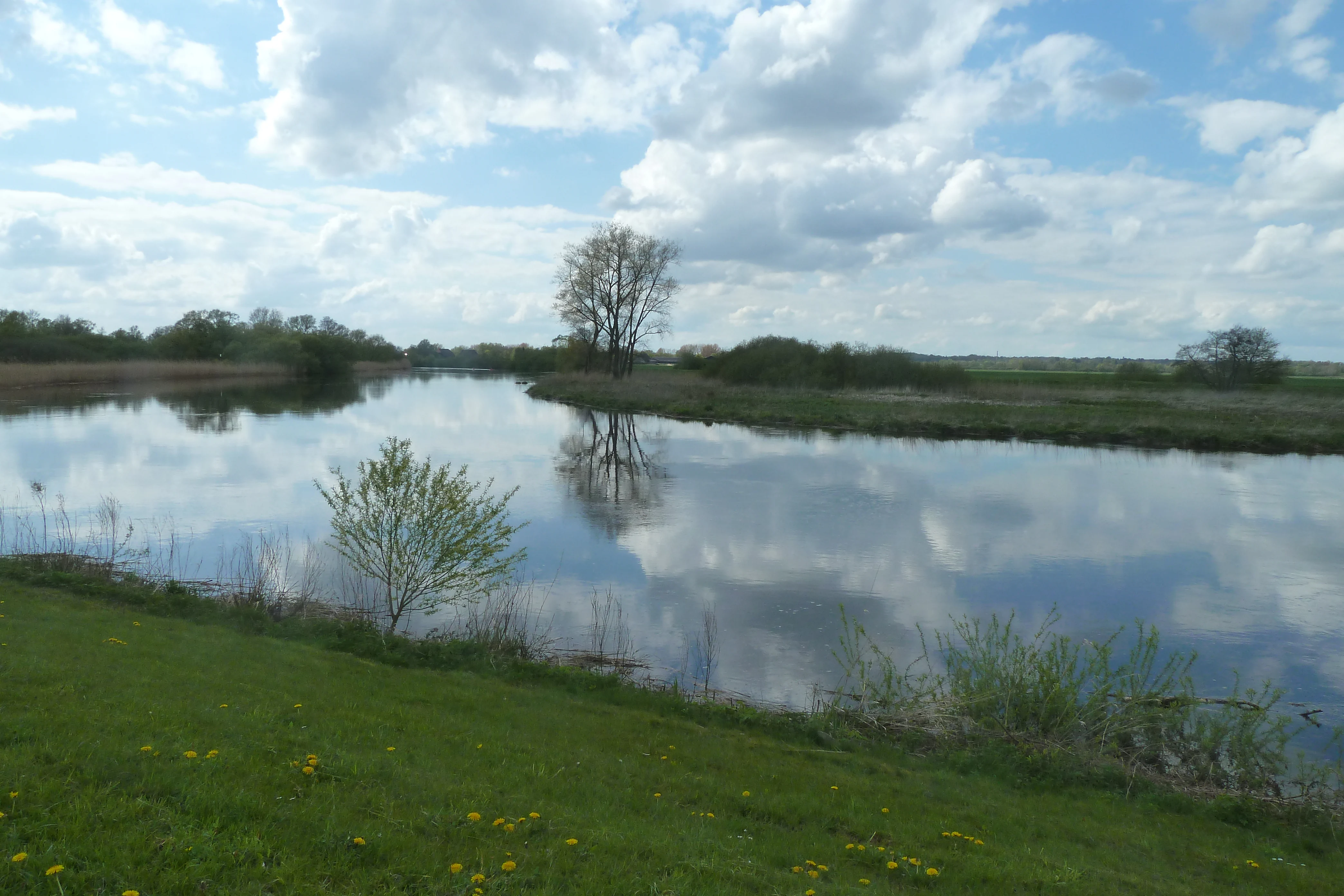 A wide view of the Wümme river reflecting the sky and scattered clouds, surrounded by green meadow banks, wetlands, and scattered trees.