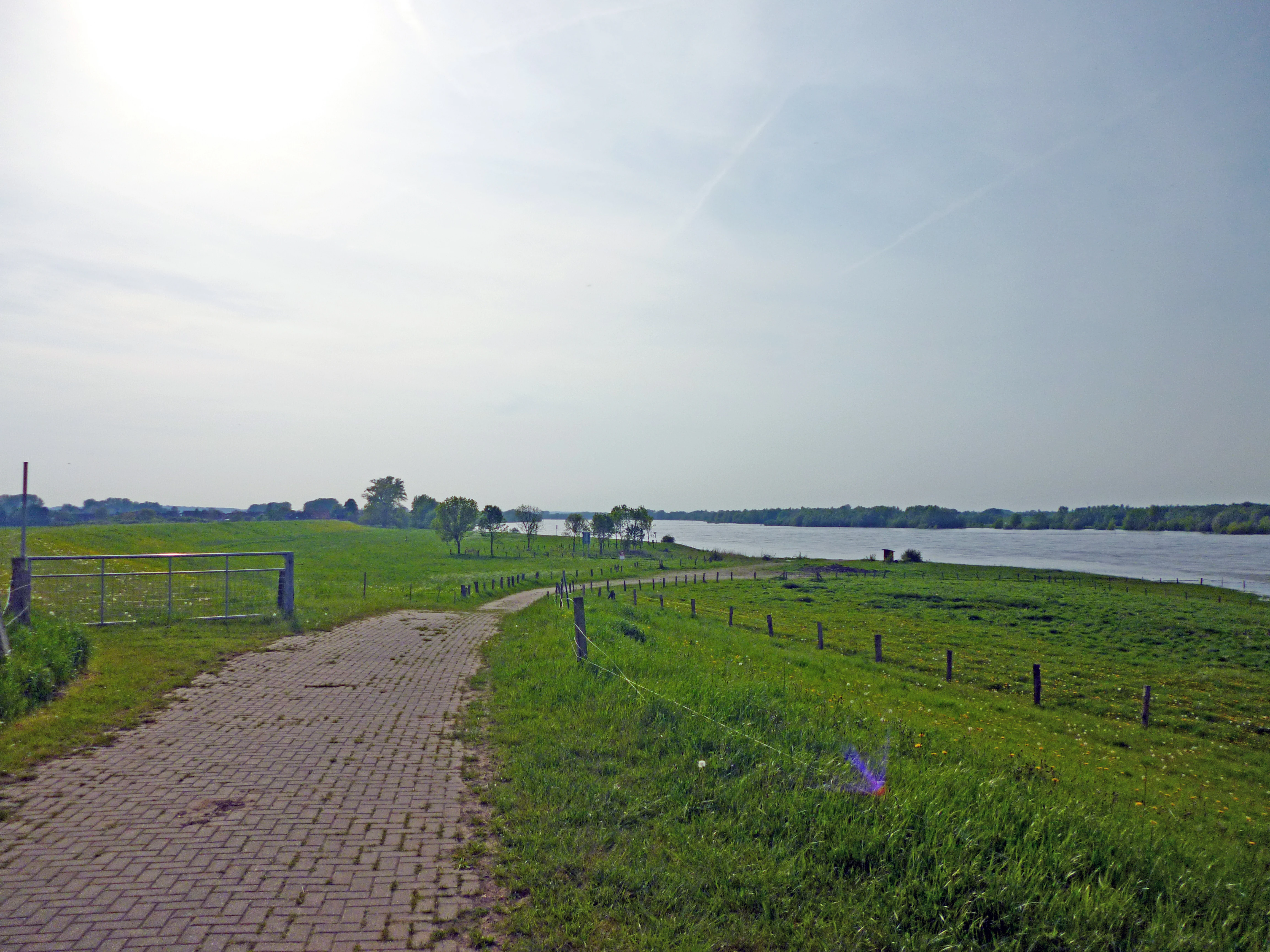 A view of a cobblestone road leading along a green grassy dike next to the Rhine river under a pale sky.