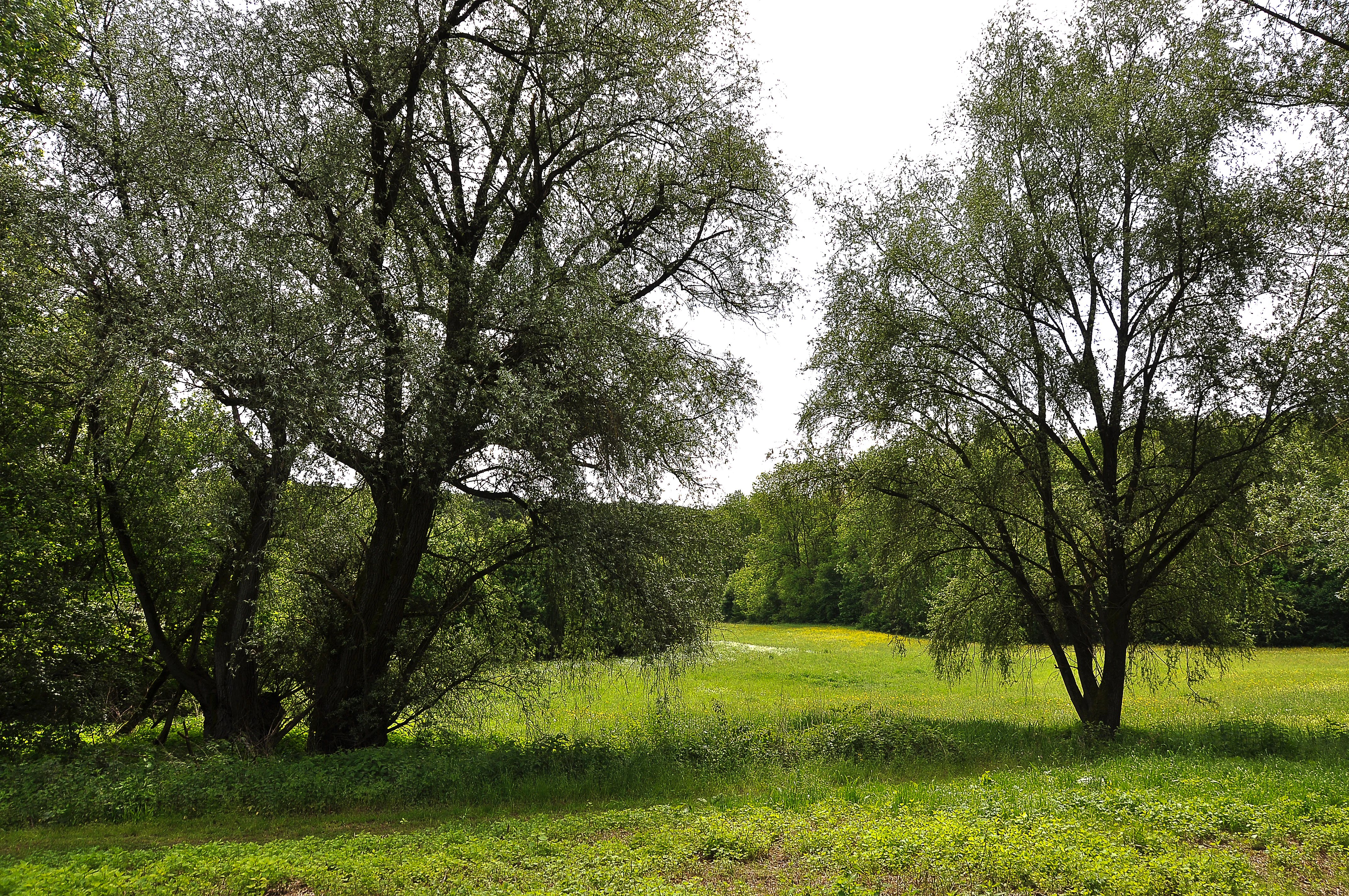 Körschtal landscape