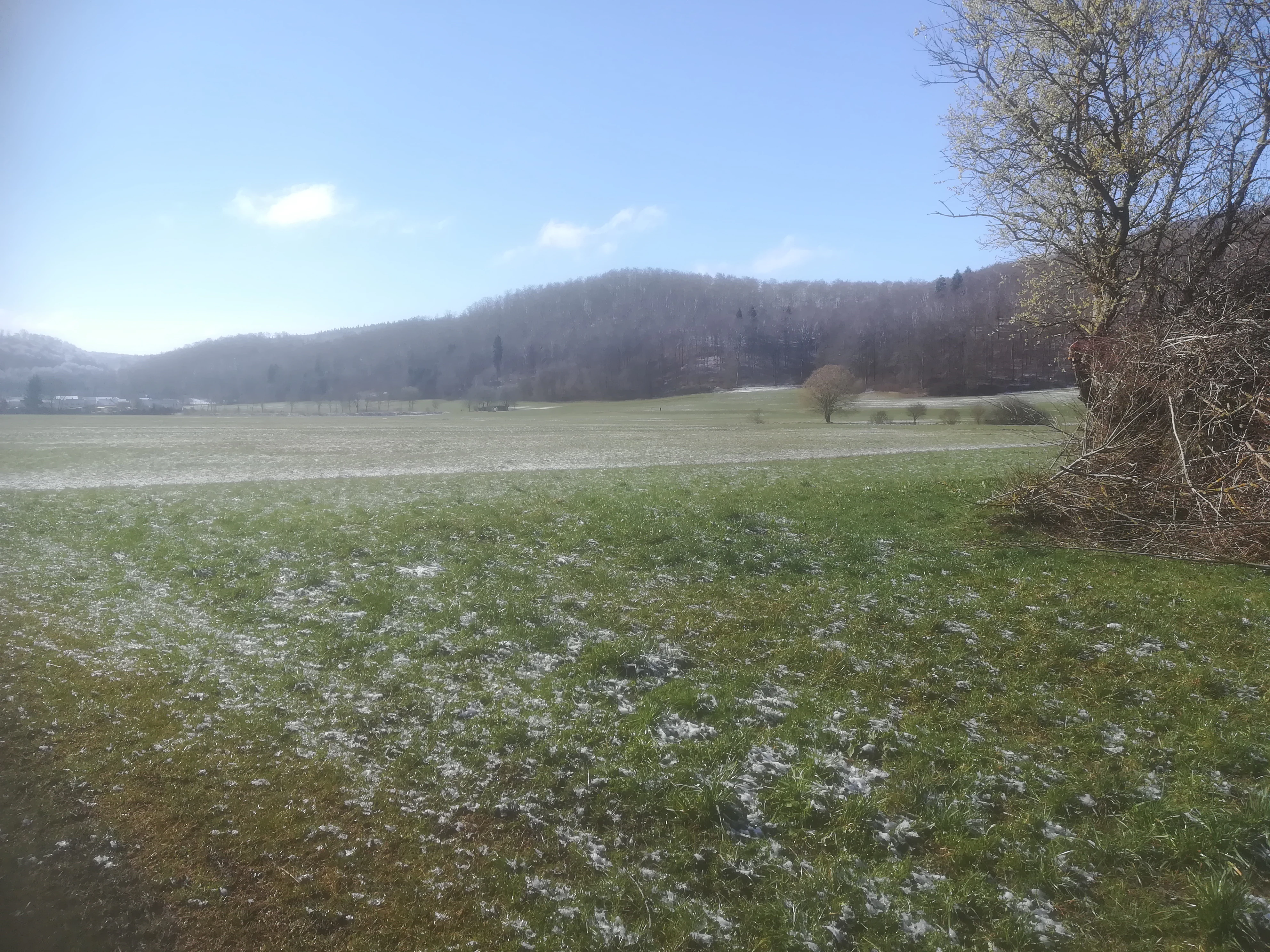 A wide, grassy field with patches of snow under a clear blue sky, with forested hills in the background.