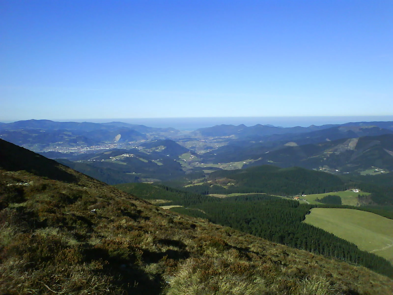 A wide mountain landscape view showing rolling forested hills, green pastures, and a distant valley under a clear blue sky.