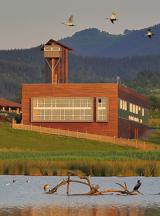 Modern wood-clad visitor center building with an observation tower, situated next to a marshy wetland with birds flying overhead and resting on a log.