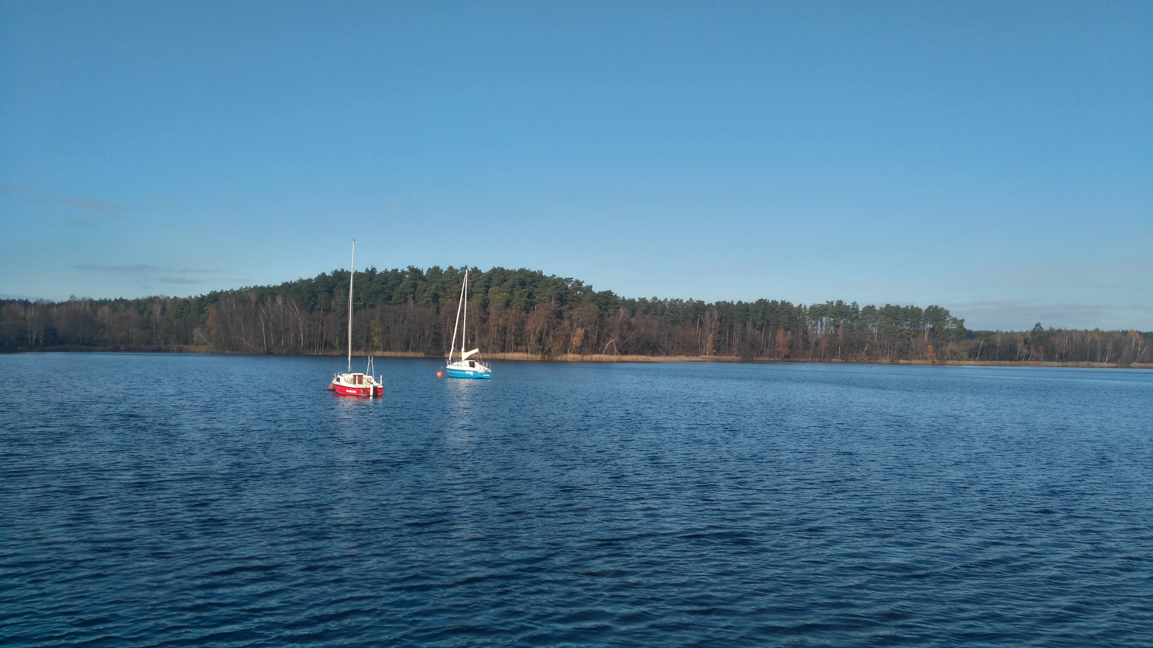 Two small sailboats floating on a calm lake with a dense, wooded shoreline in the background under a clear blue sky.