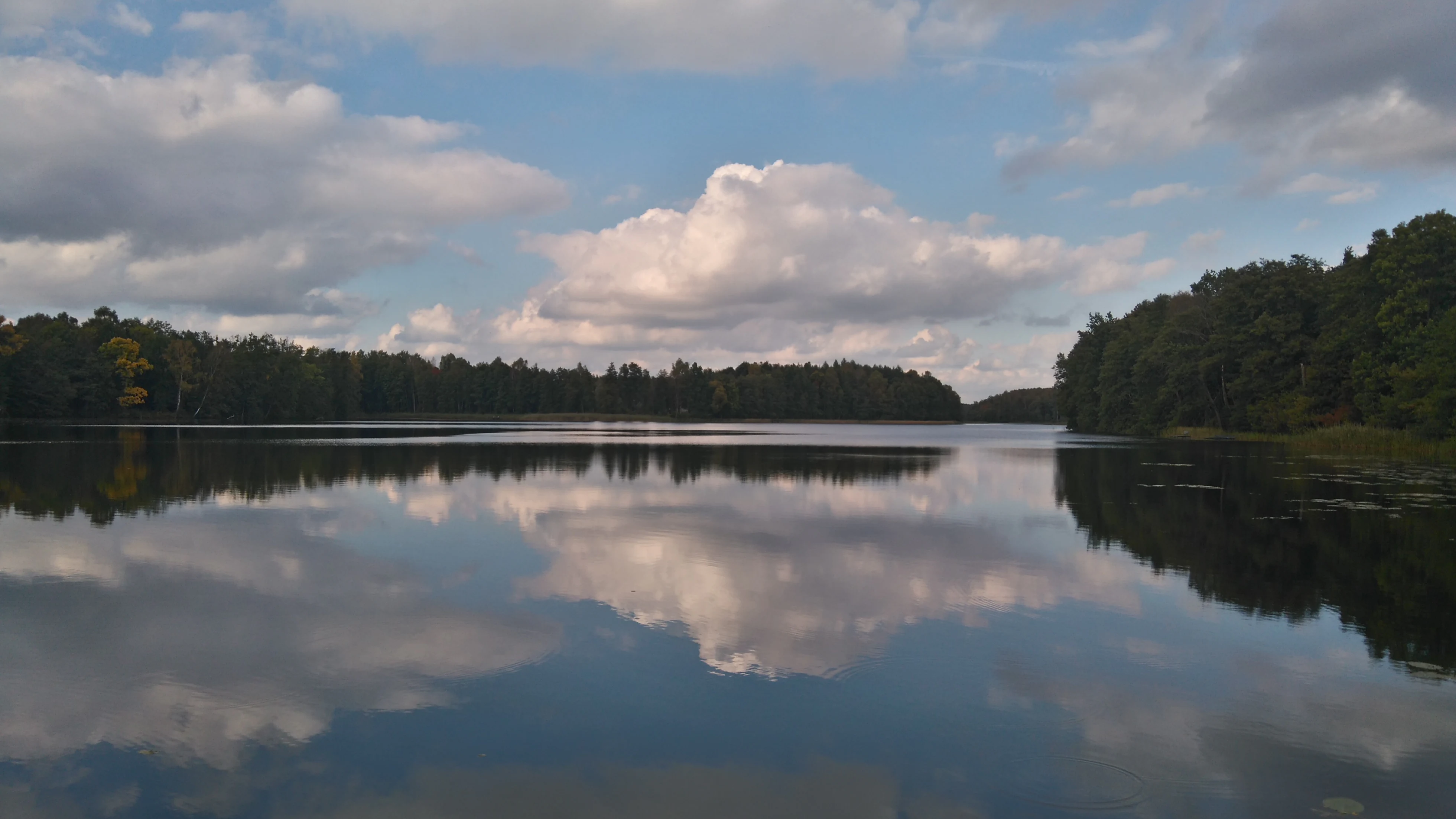 A wide, calm lake surrounded by dense forest under a cloudy sky, with the clouds reflecting clearly in the water.