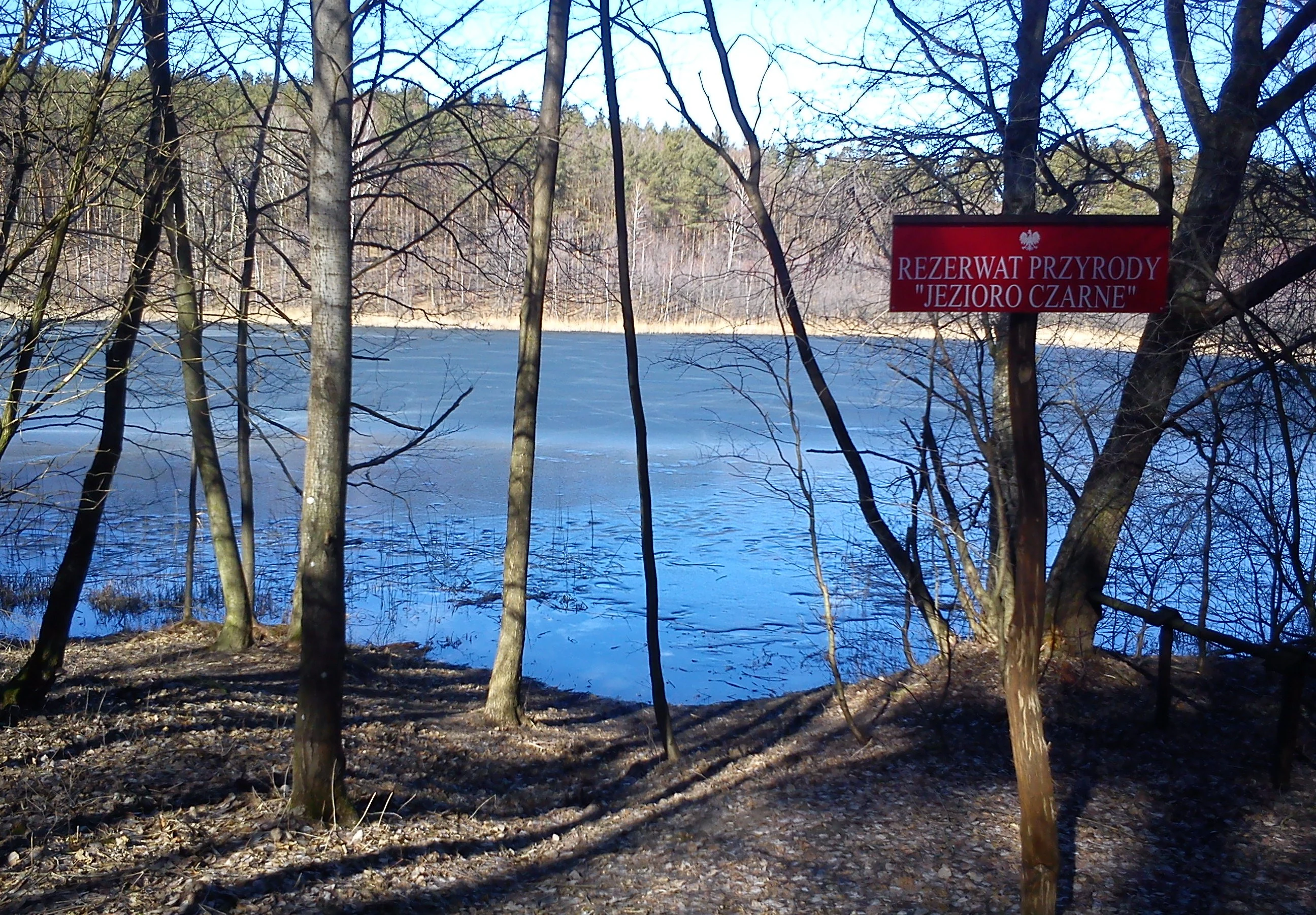 A red rectangular sign with white text hanging on a tree overlooking a calm lake surrounded by a forest.