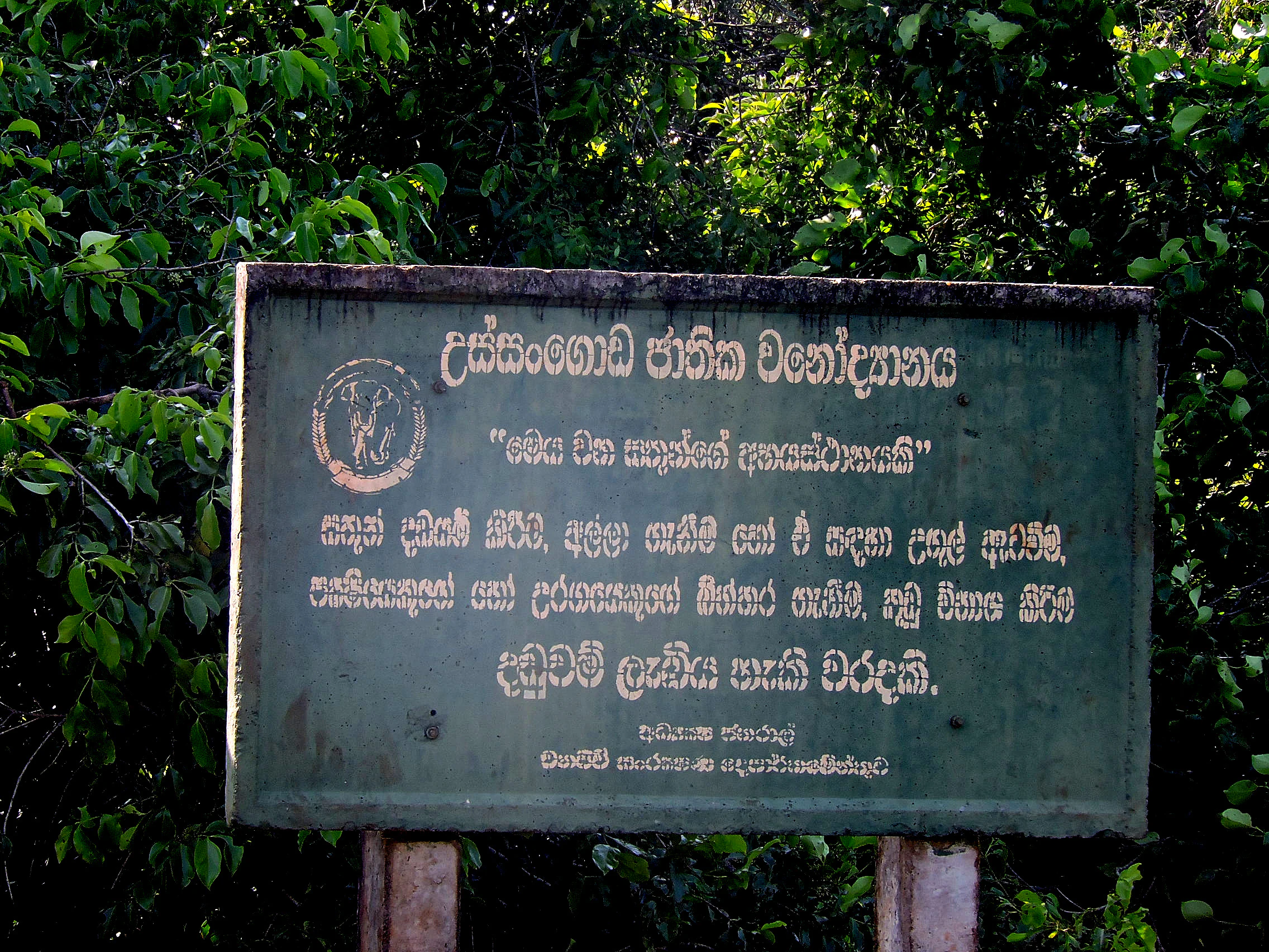 Green signboard with Sinhala text and circular emblem mounted on wooden posts surrounded by dense green foliage