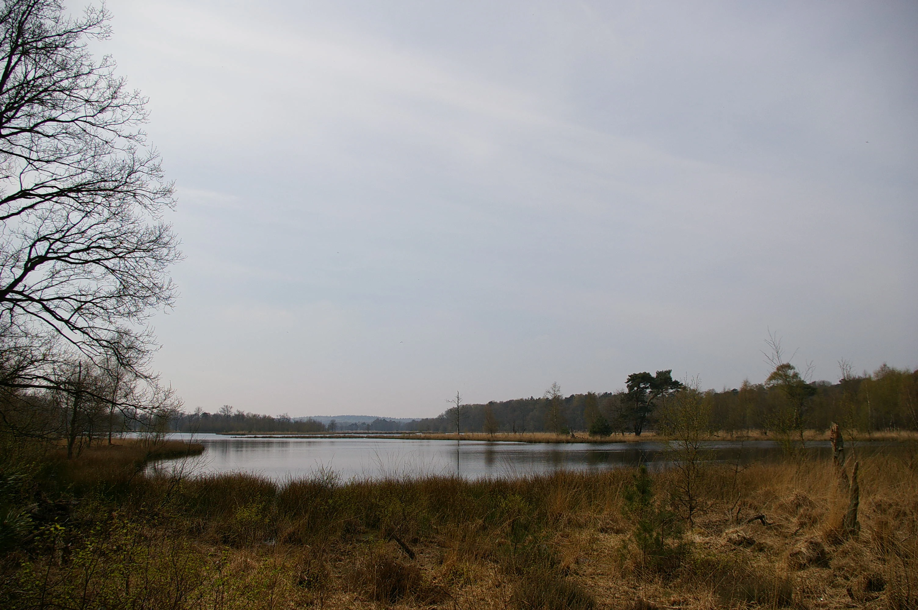 A lake surrounded by grasslands and sparse trees under an overcast sky