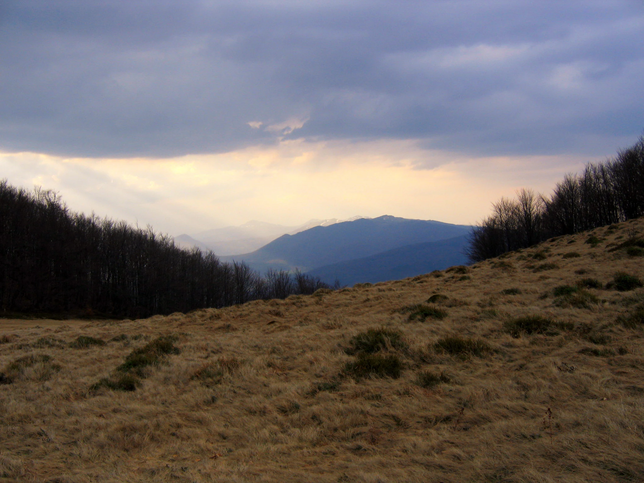 Grassy hillside with patches of green vegetation, forested areas on both sides, and a mountain range under a partly cloudy sky