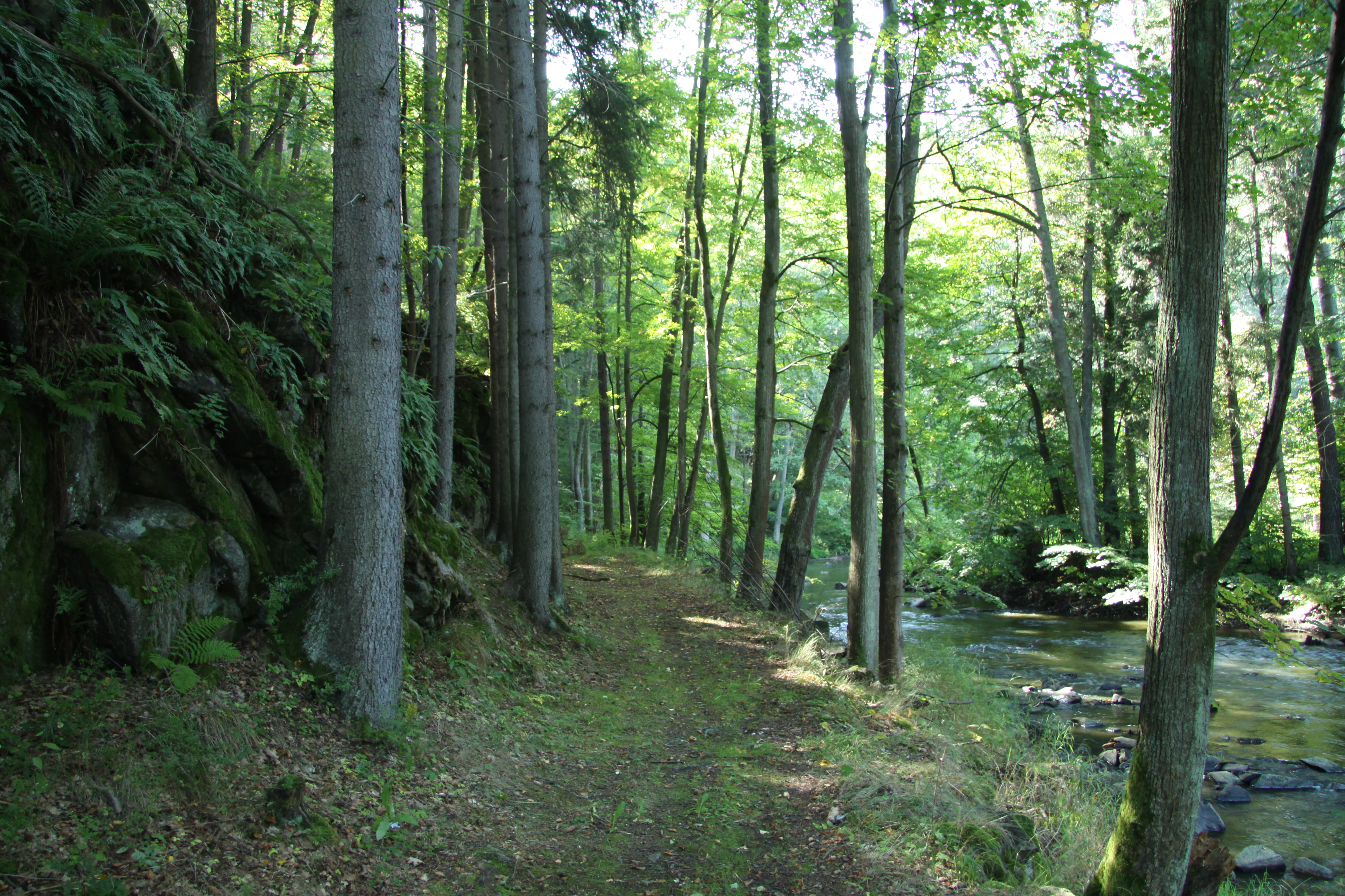 A dirt forest path runs between a mossy, steep rocky slope on the left and a small river flowing on the right, all shaded by tall trees.