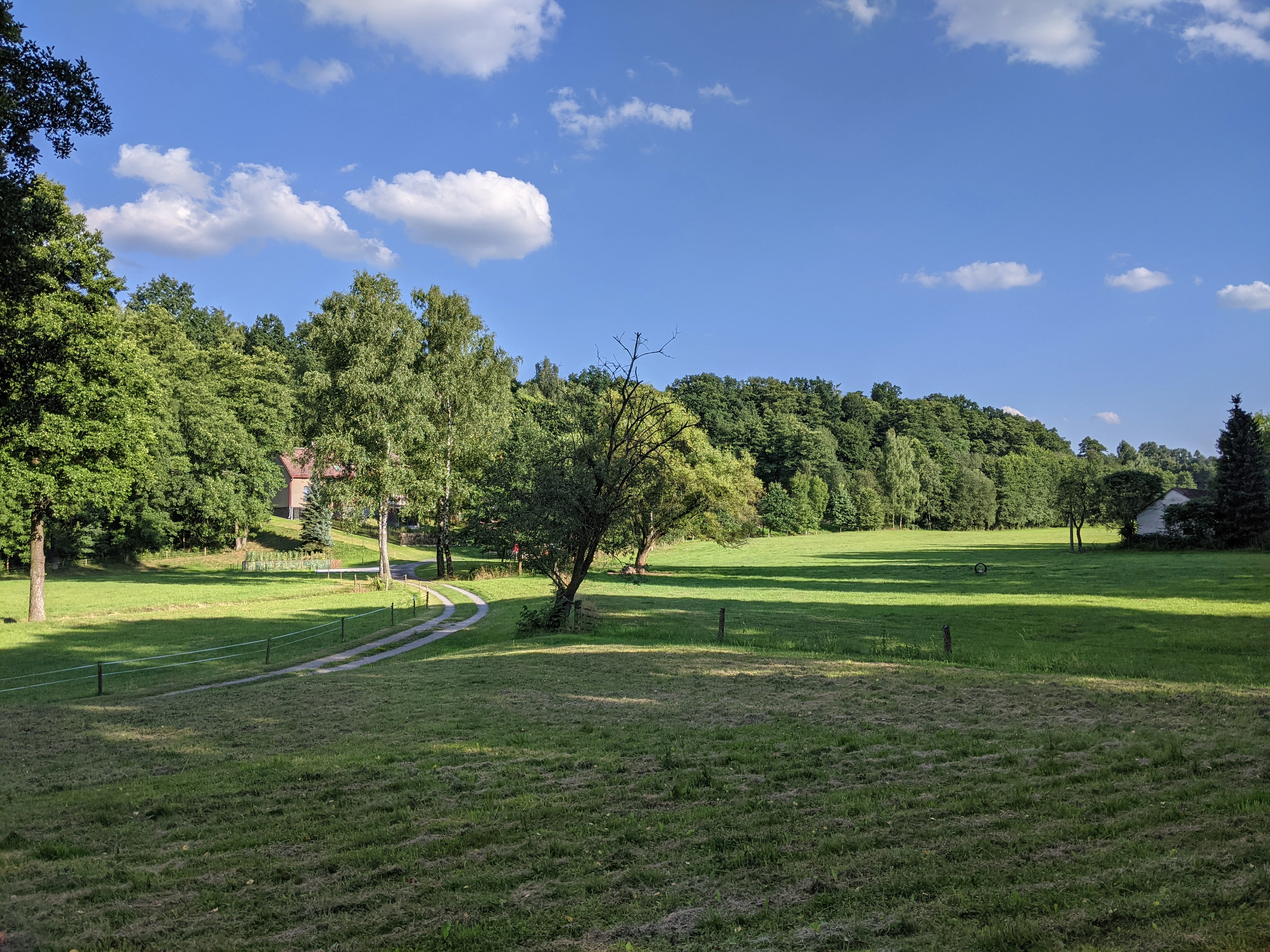 A green, grassy meadow framed by trees under a blue sky with white clouds, with a winding dirt path in the foreground.