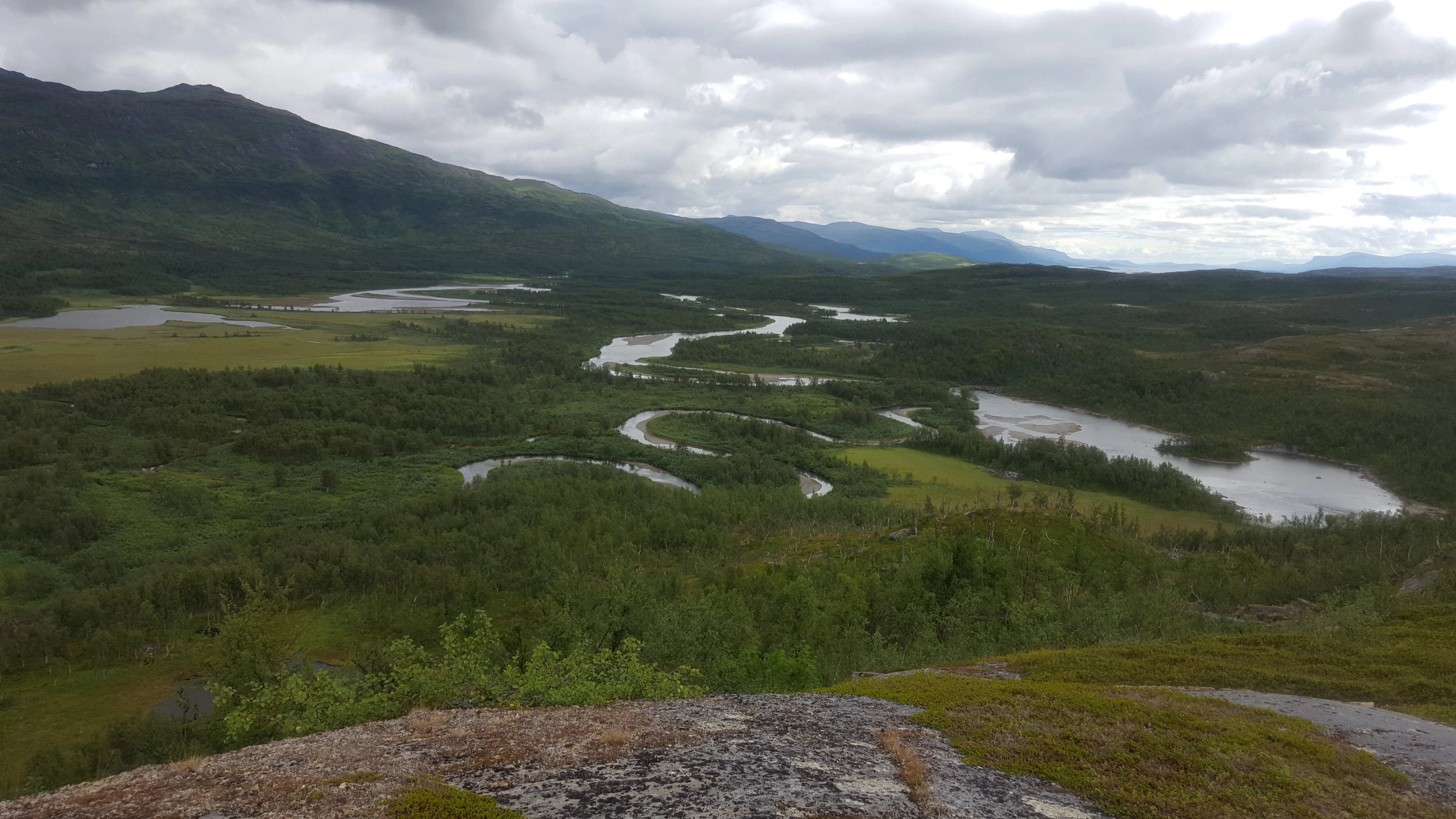 Wide aerial view of a delta landscape with meandering rivers, green forests, and rocky terrain under a cloudy sky