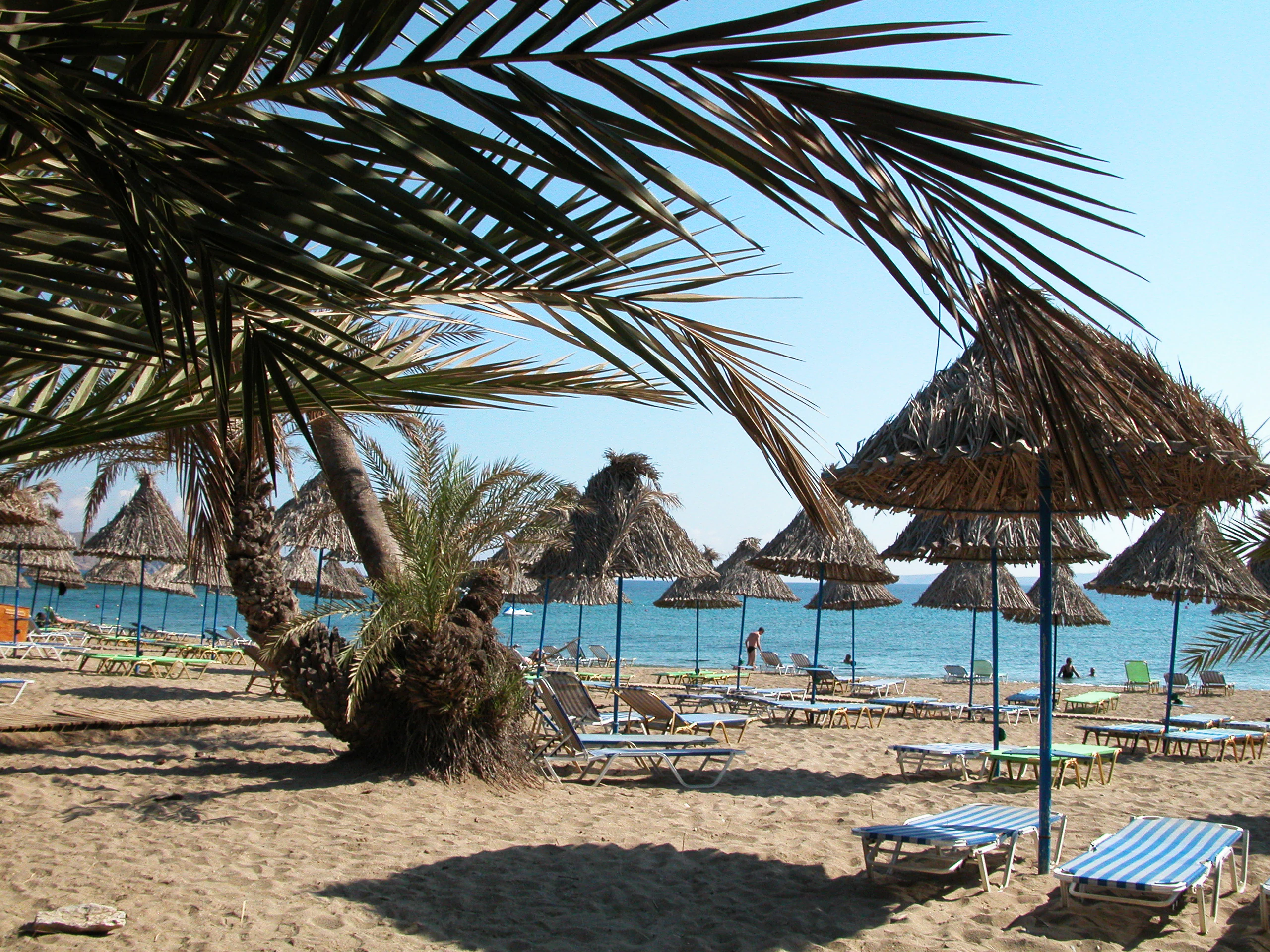 A sandy beach at Vai Aesthetic Forest with rows of straw umbrellas and sun loungers underneath overhanging palm tree fronds.