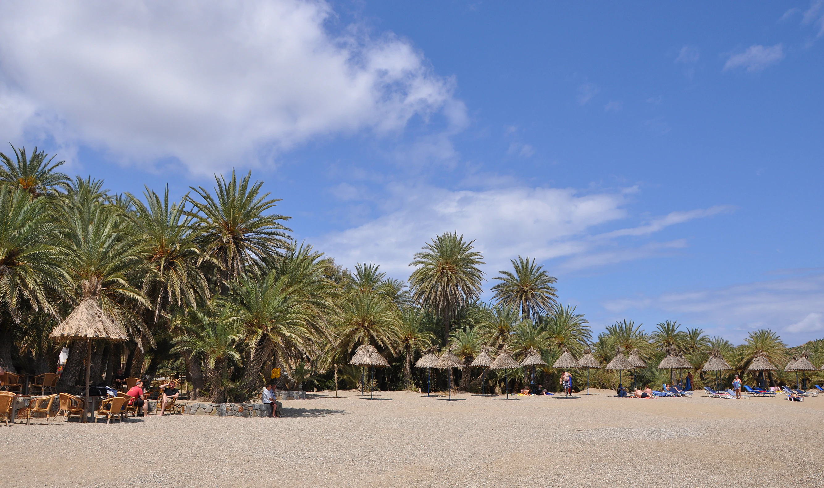 A wide beach with light colored sand, lined with a dense forest of palm trees and several straw umbrellas under a bright blue sky.