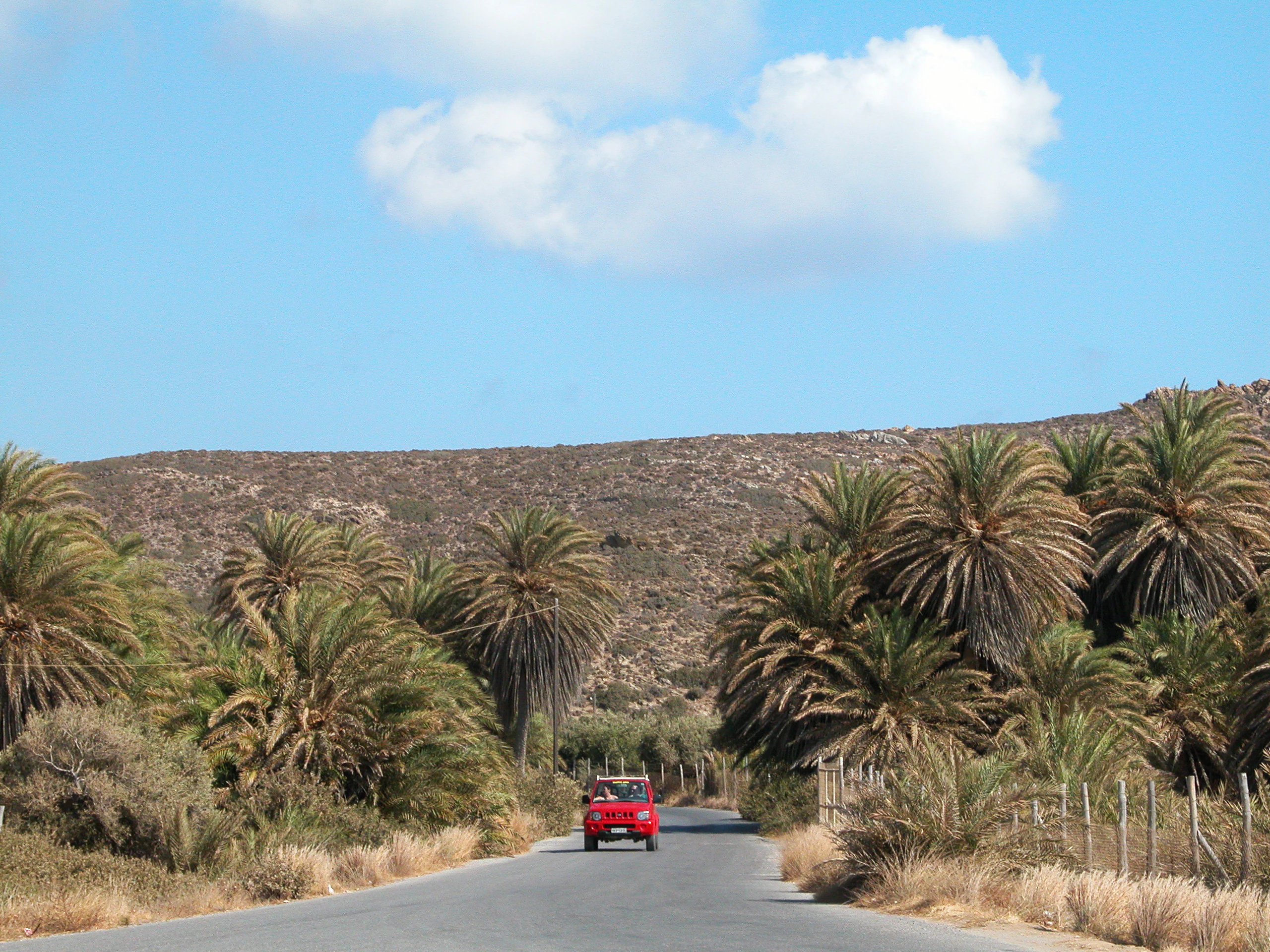 A red car travels down a paved road flanked by a lush grove of palm trees, with a dry, scrubby hillside in the background under a blue sky.