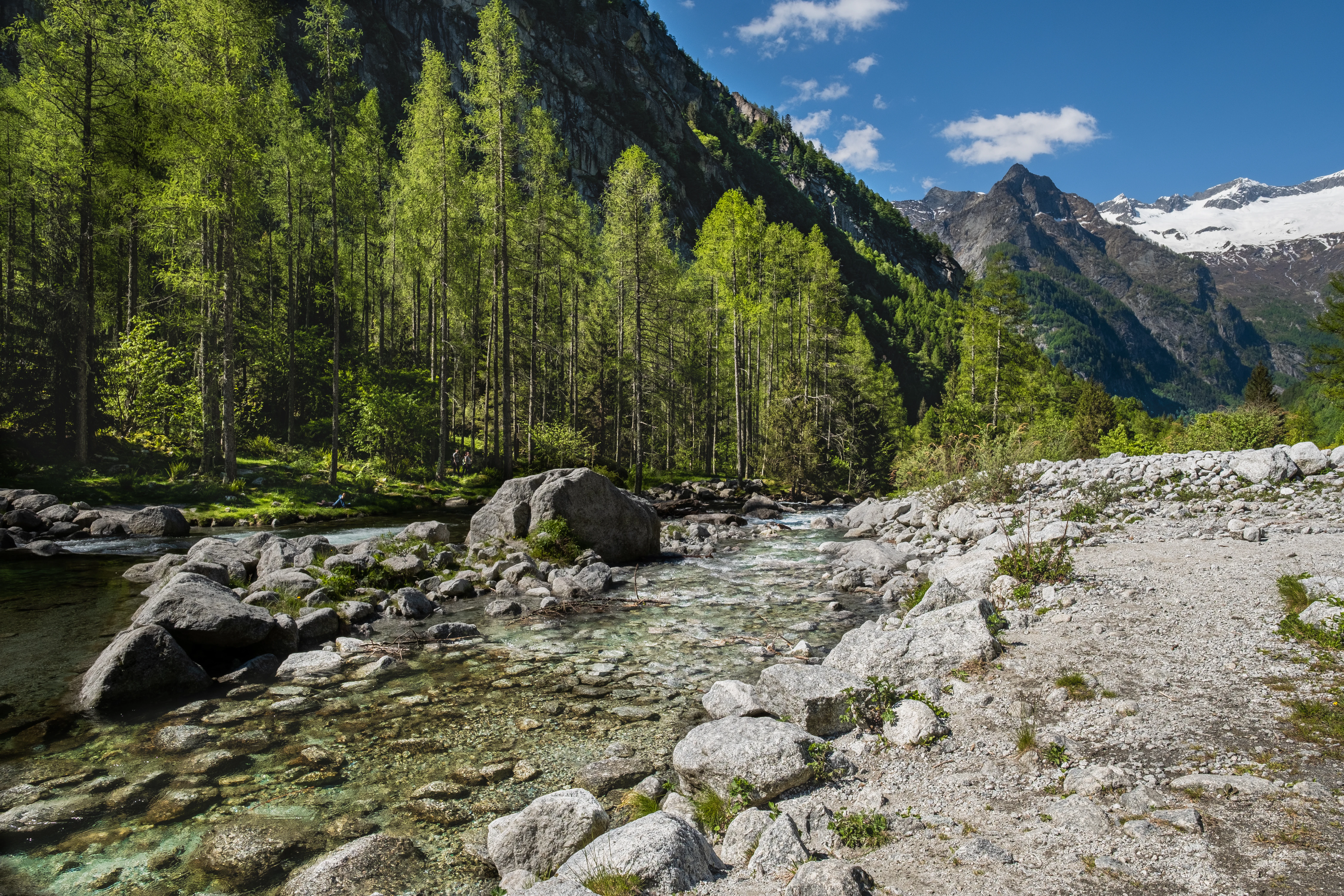 A clear, shallow mountain stream winds through a valley with large boulders, a pine forest, and snow-dusted granite mountains in the background under a blue sky.