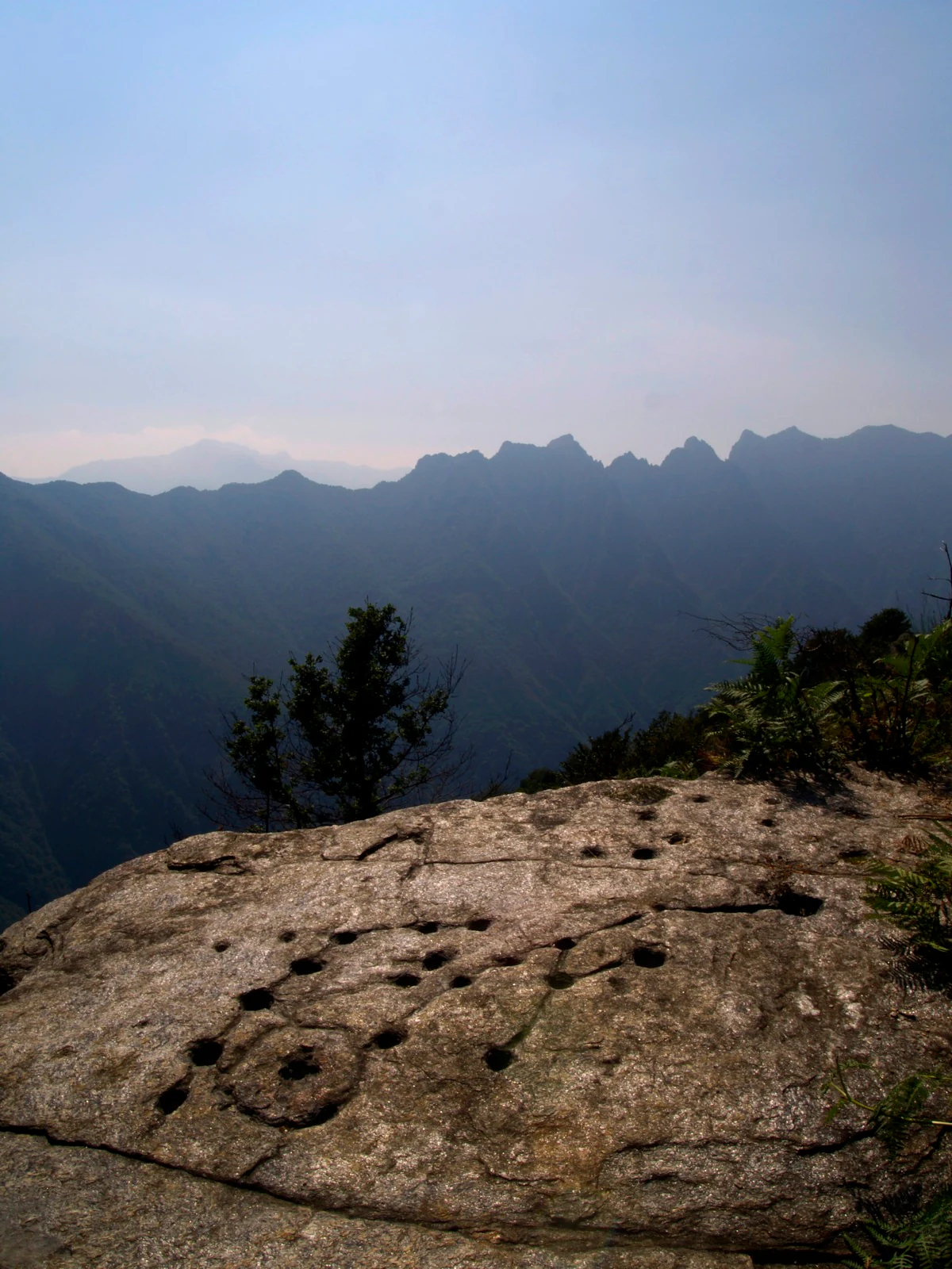 Rock face with circular cupmarks and ring marks, set against a mountainous backdrop with trees