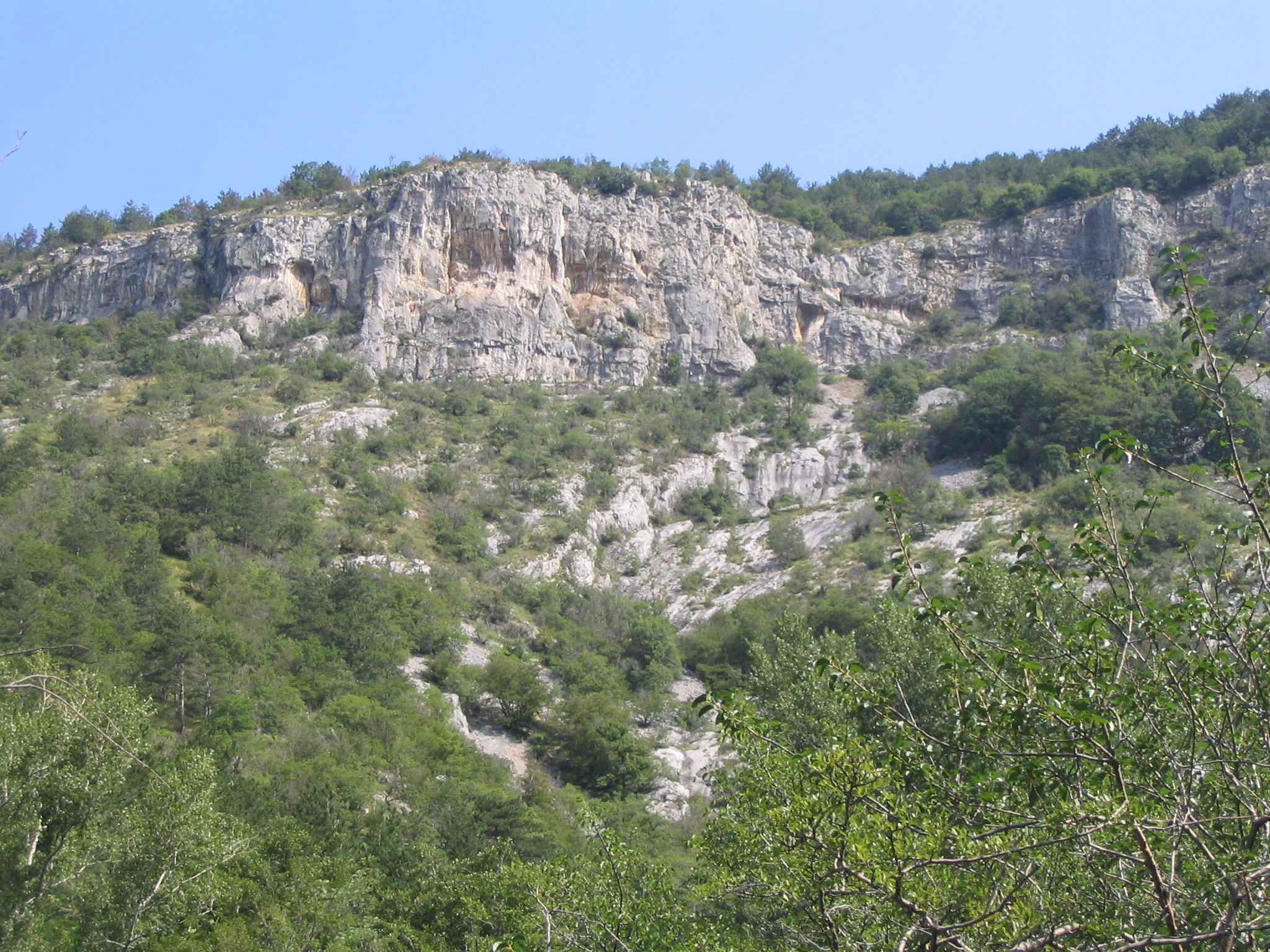 A view of rugged limestone cliffs rising above a vegetated valley, featuring sparse trees and rocky terrain.