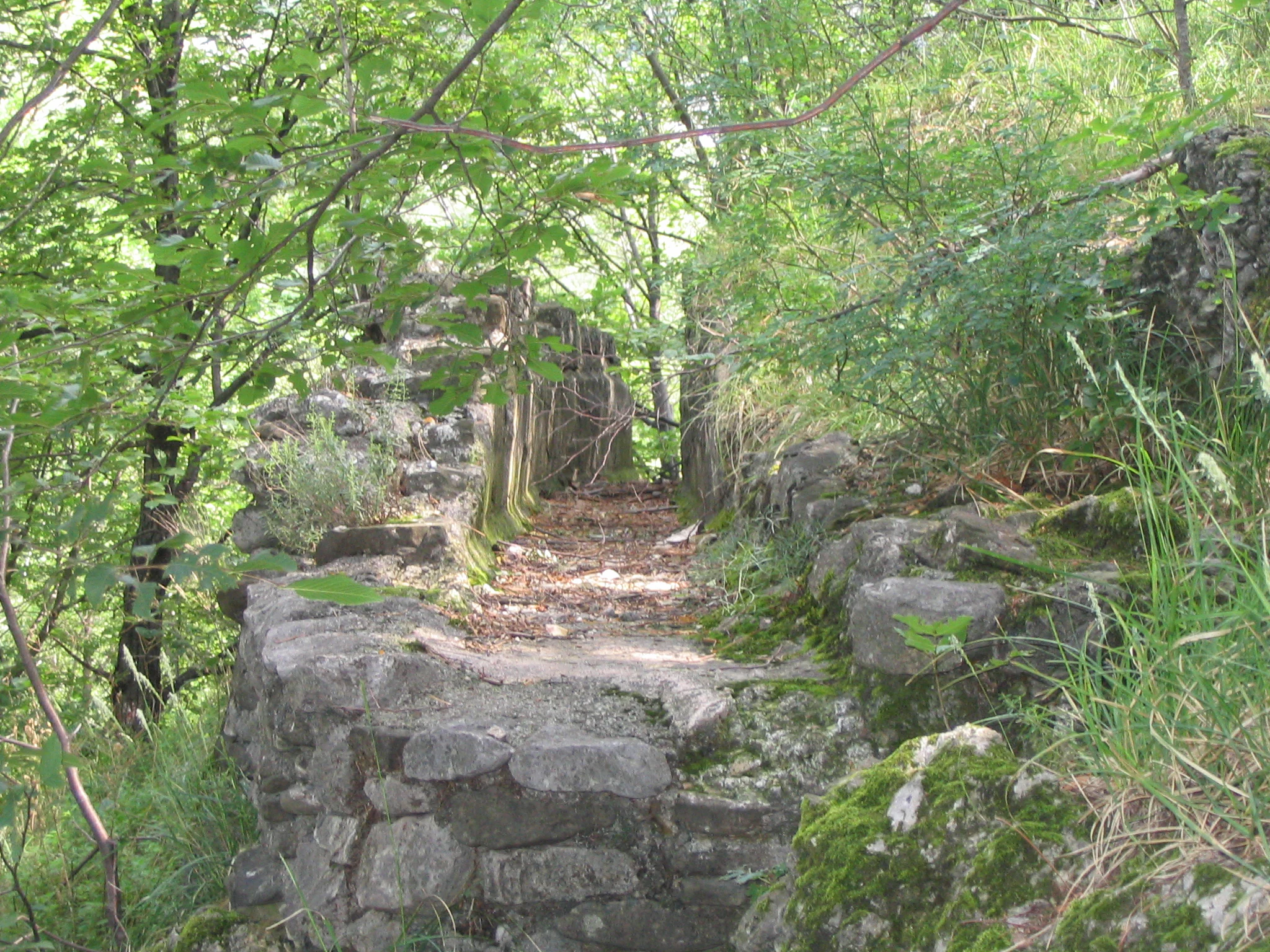 A section of an old stone wall ruin partially overgrown with moss and vegetation, forming a path through a forest.