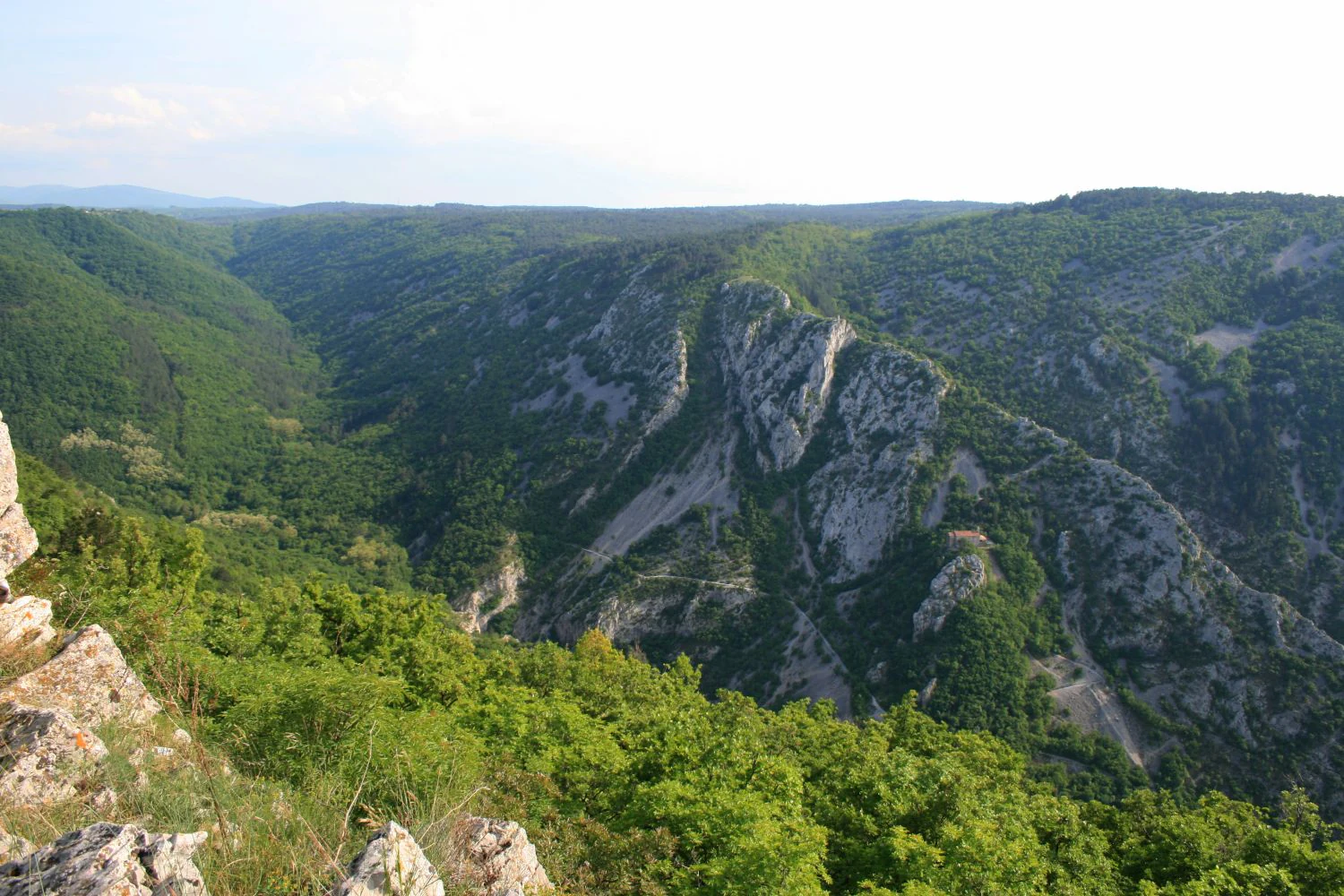 A high vantage point looking down into a deep, forested valley with steep rocky limestone cliffs on the right side under a hazy sky.