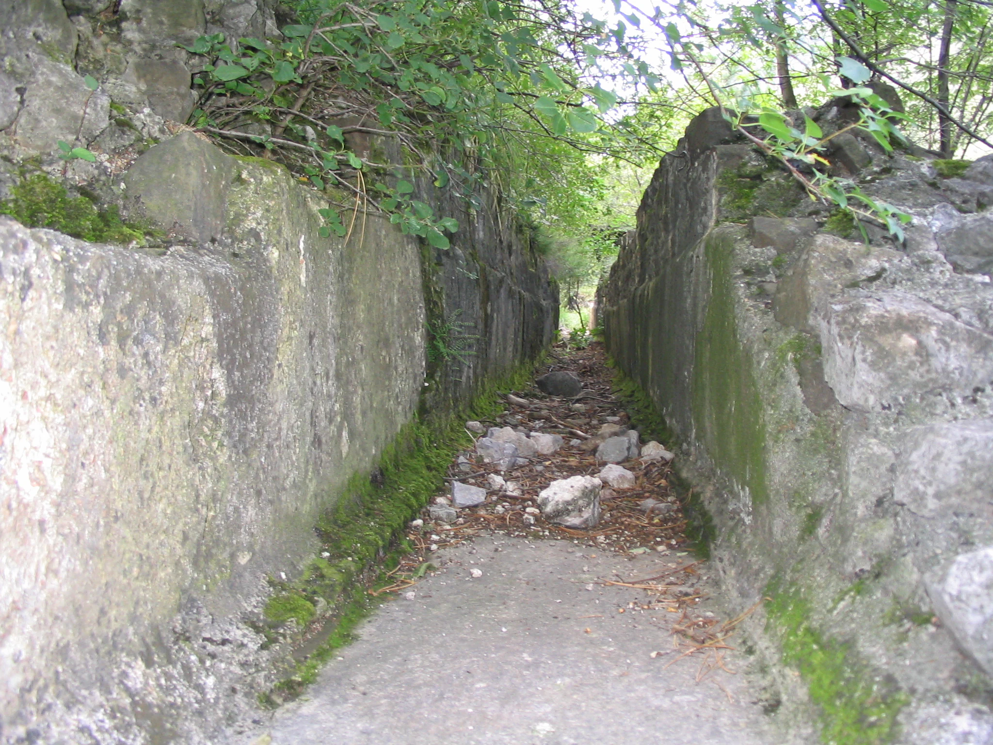 A narrow stone-lined channel, identified as an ancient Roman aqueduct, with mossy walls and a floor covered in loose stones and dirt, surrounded by trees.