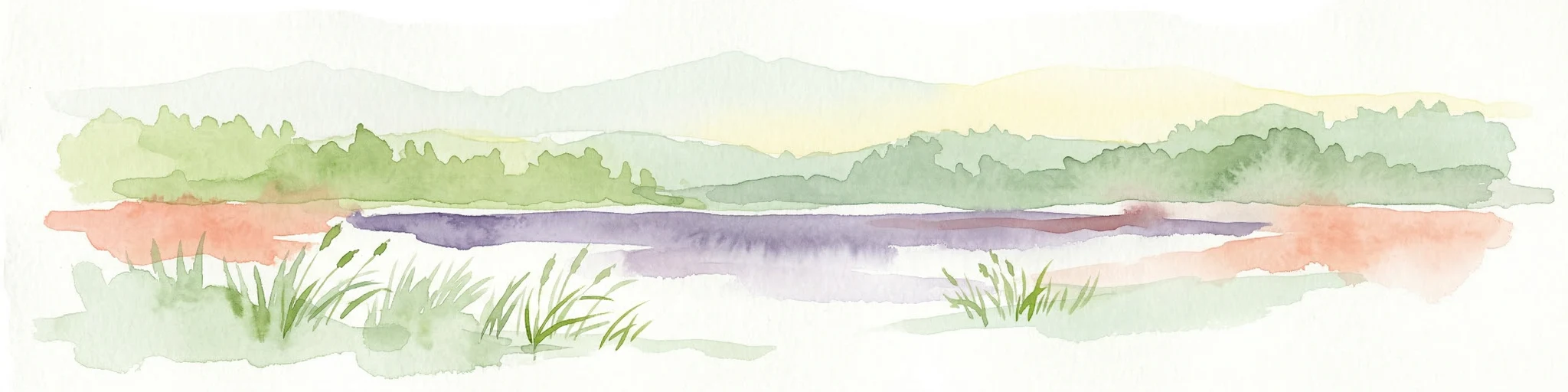 Ilustración en acuarela de un lago con bosques verdes y primer plano herbáceo, colinas distantes, y tonos morados y naranjas en el agua
