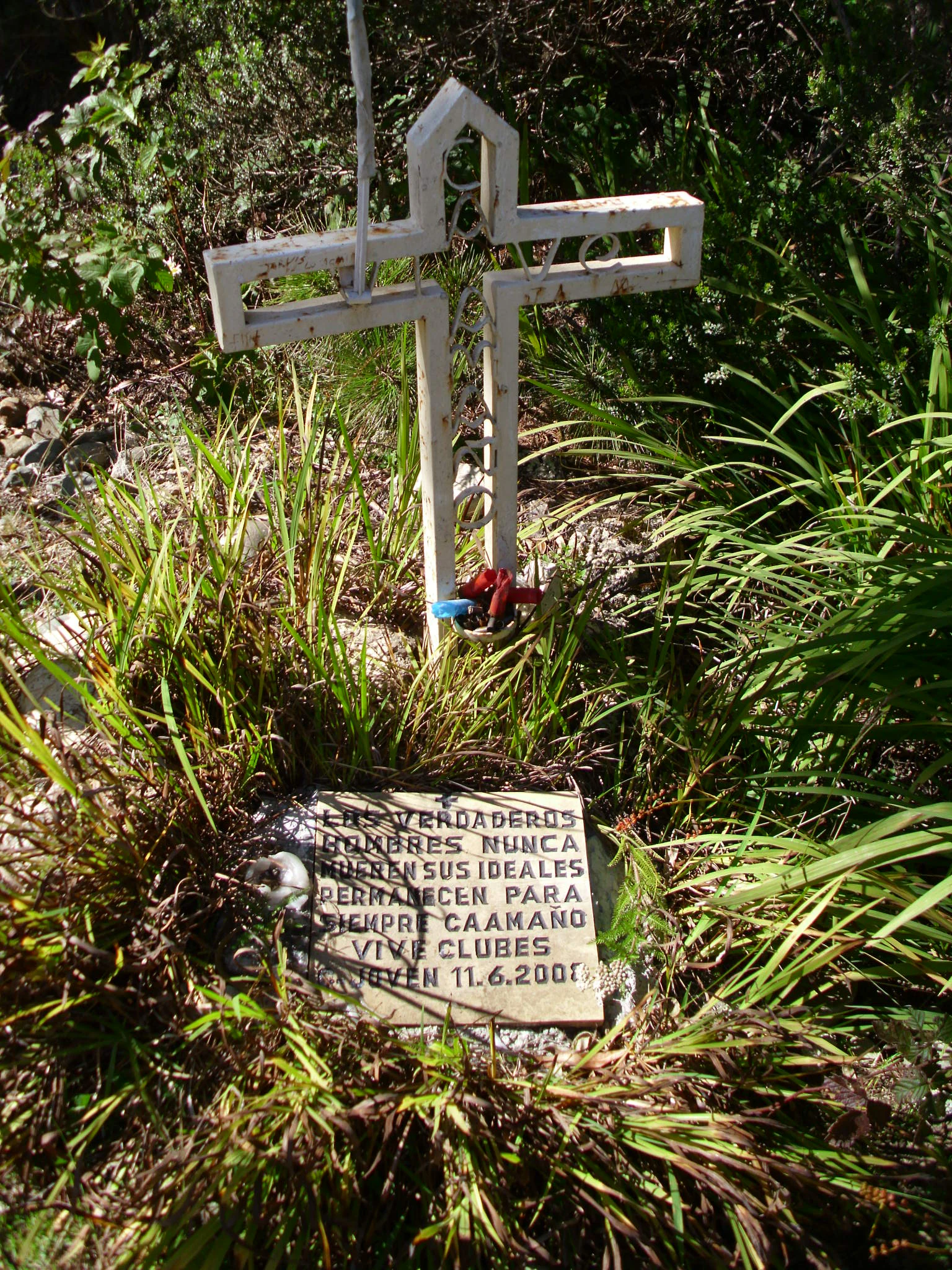 White cross monument with a Spanish-language plaque surrounded by tall grass in a natural setting