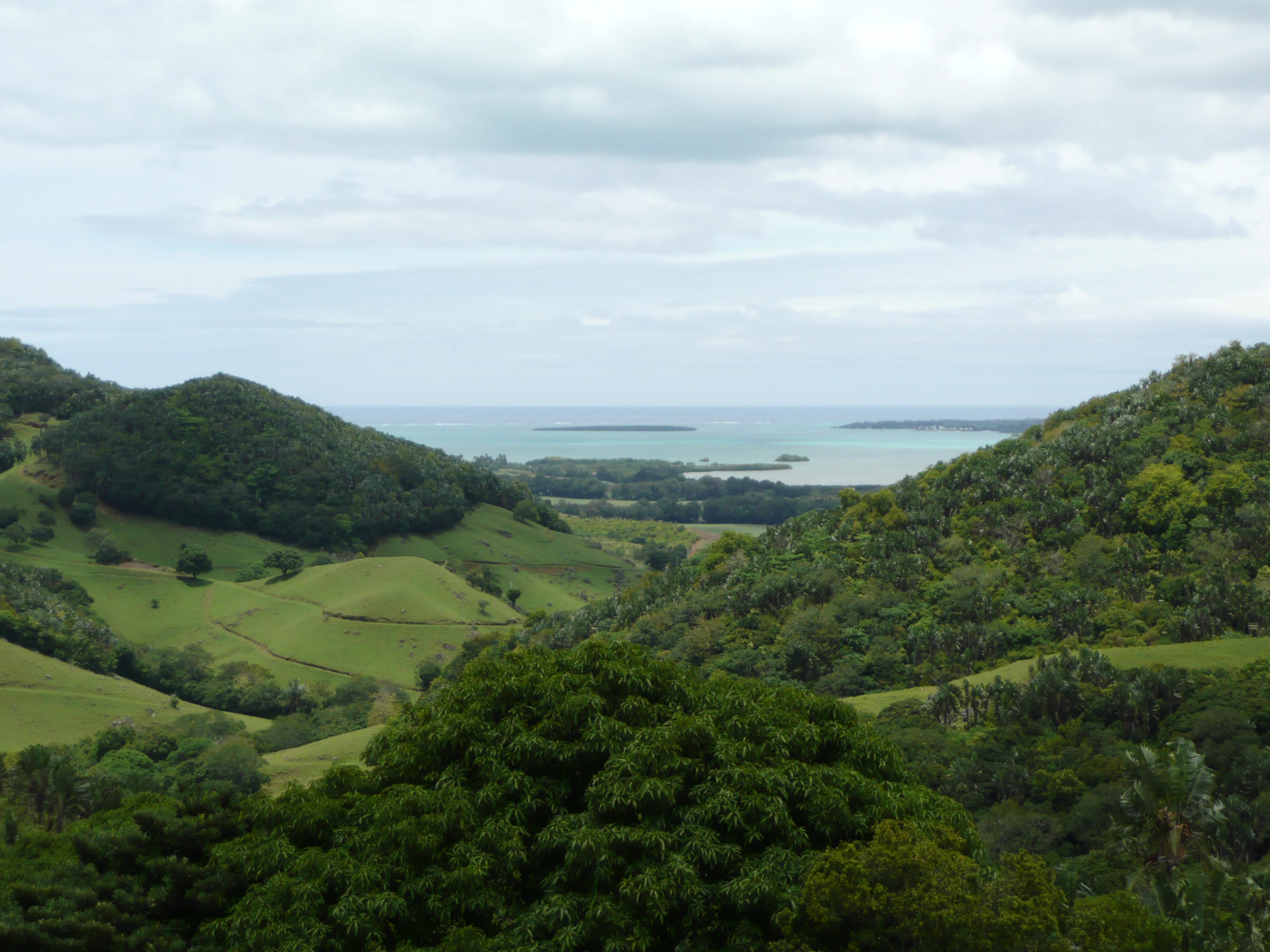 A wide landscape view of rolling green hills covered in lush forest and open meadows, leading down to a calm turquoise bay under a cloudy sky.