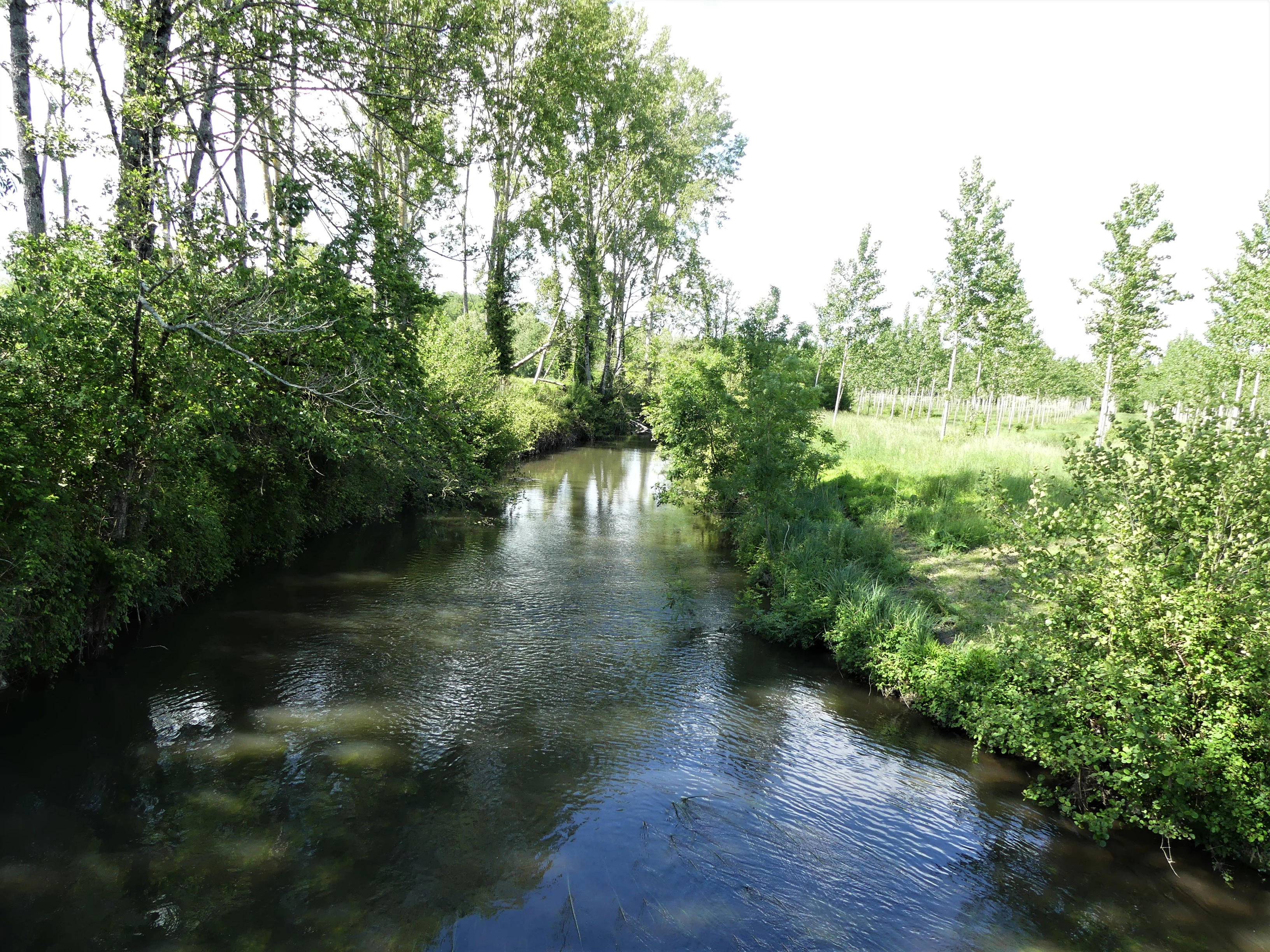 A calm river flowing through a lush, green riparian forest in the French countryside.