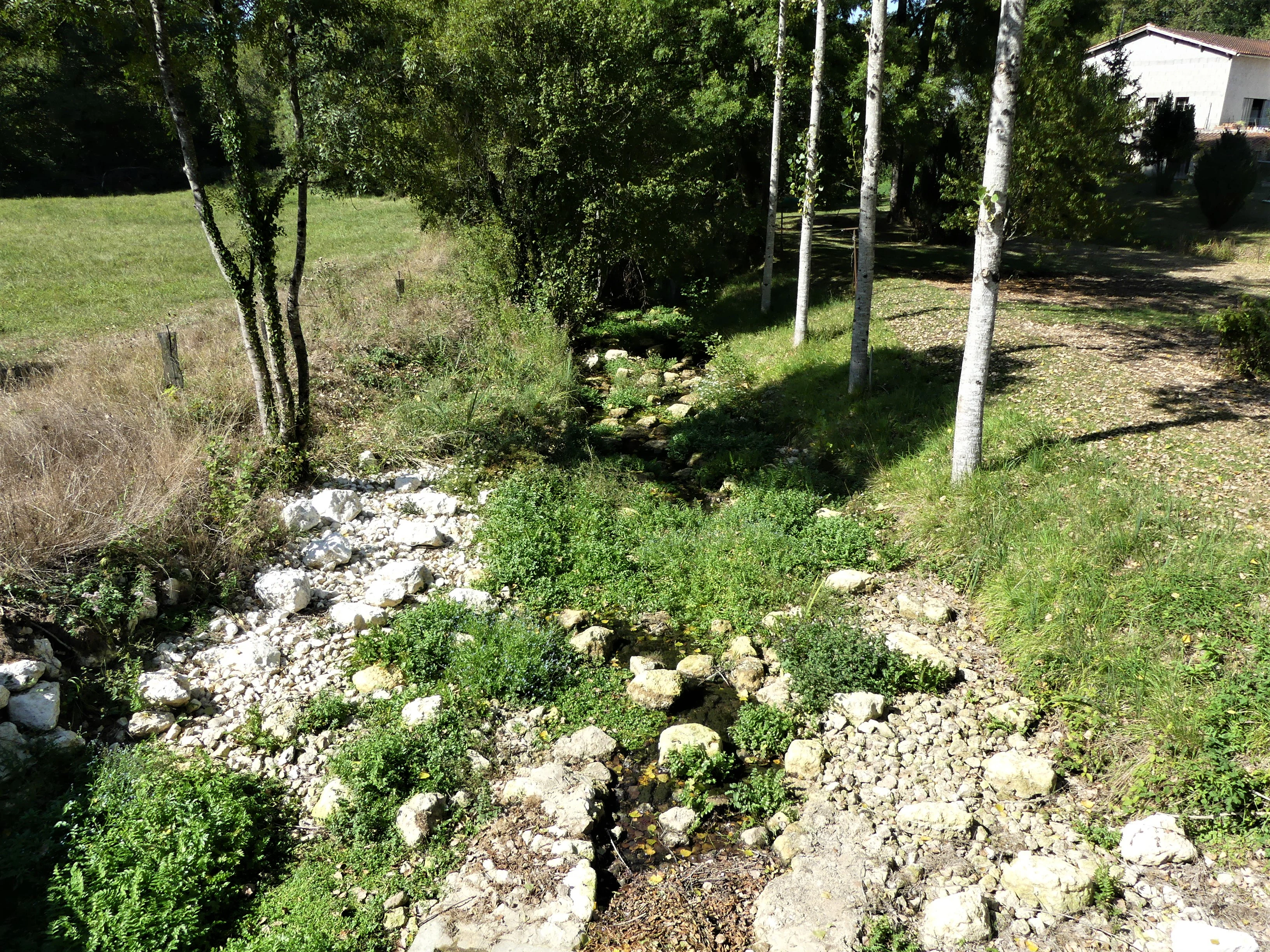 A view looking downstream of a narrow, rocky section of the Nizonne river, flanked by trees and grassy banks, with a small building visible in the background.