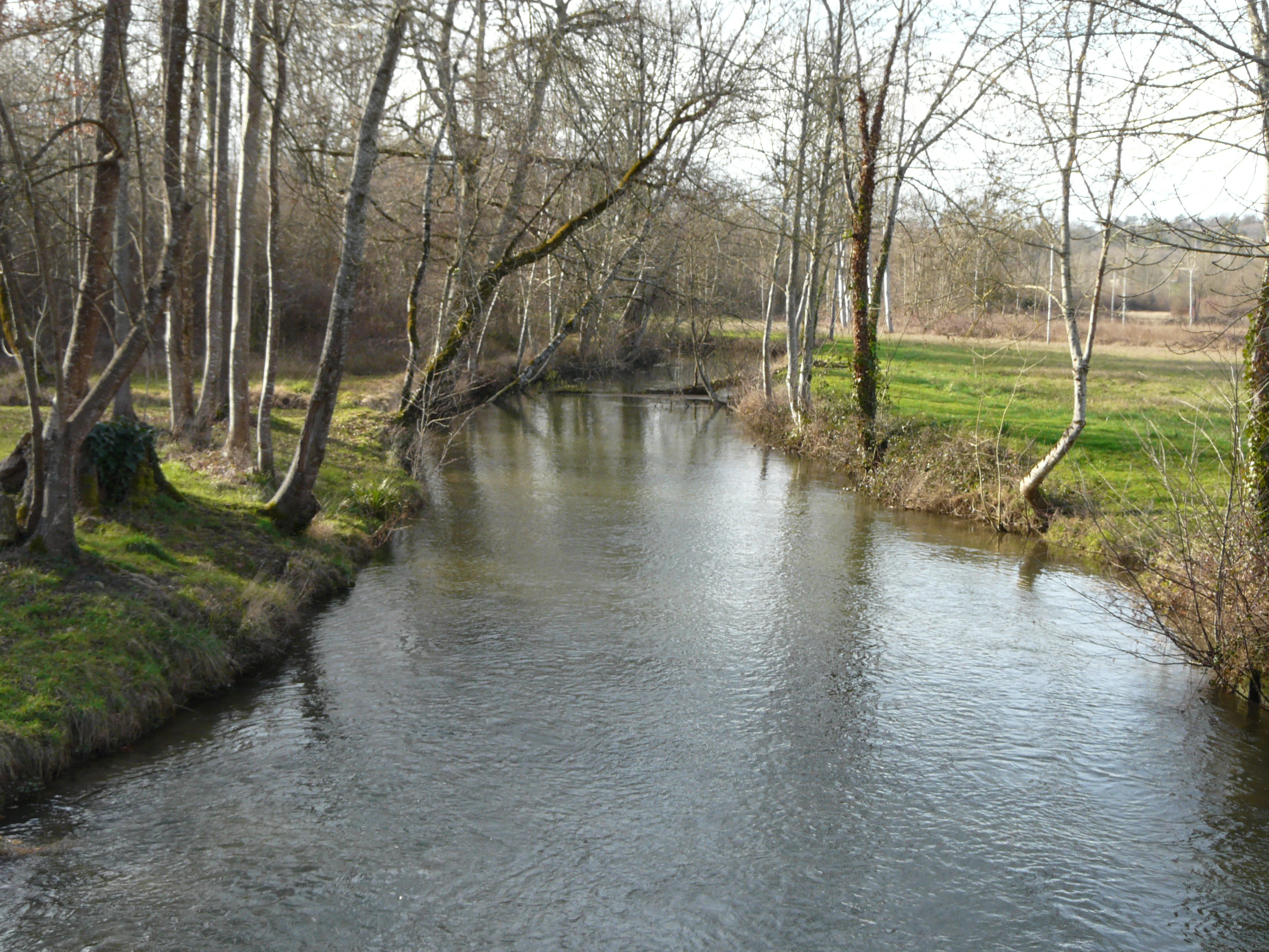 A calm, narrow river flows through a wooded, rural landscape with bare trees and grassy riverbanks.