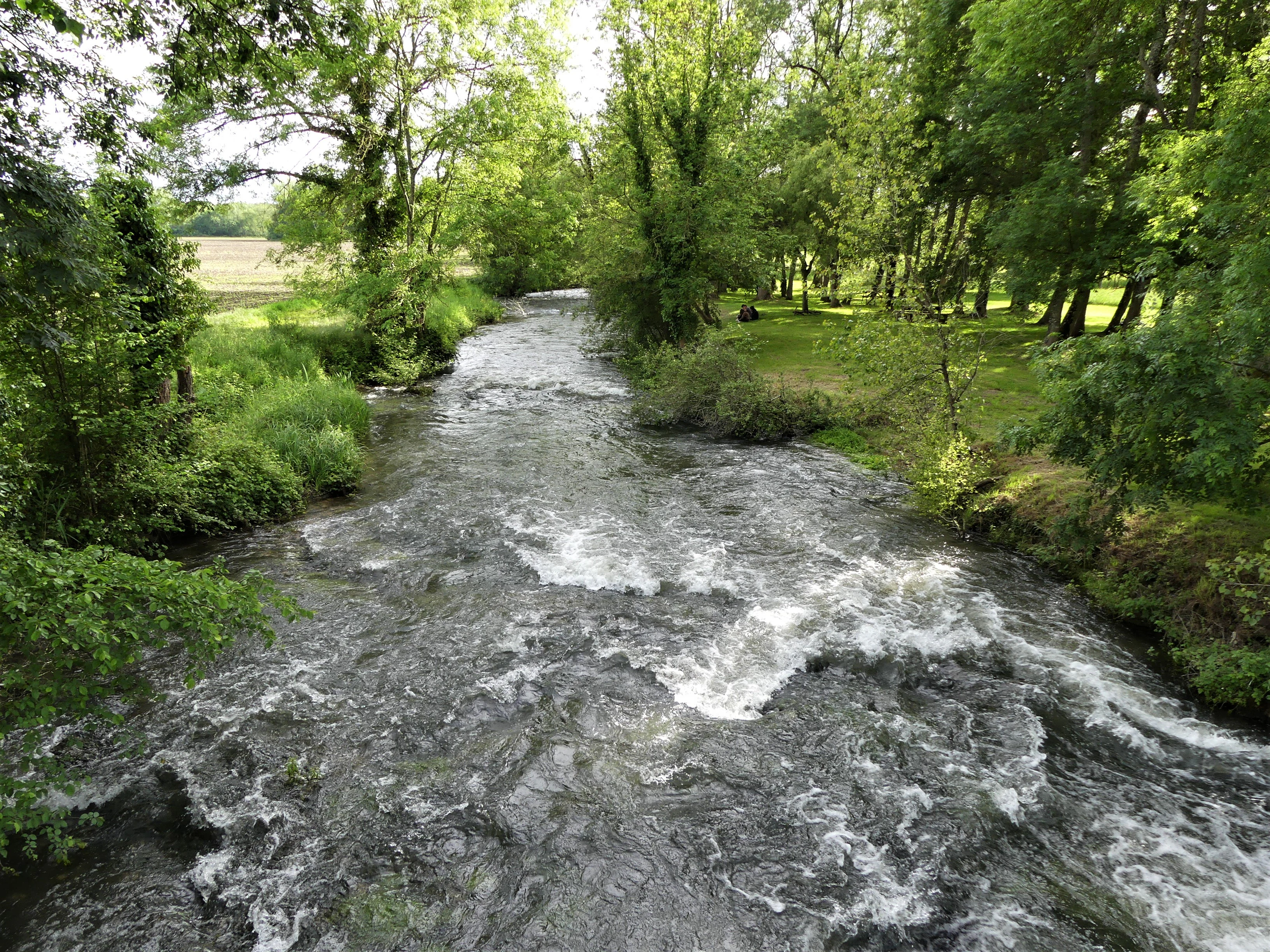 A rushing river flows downstream through a lush, green woodland area in France.