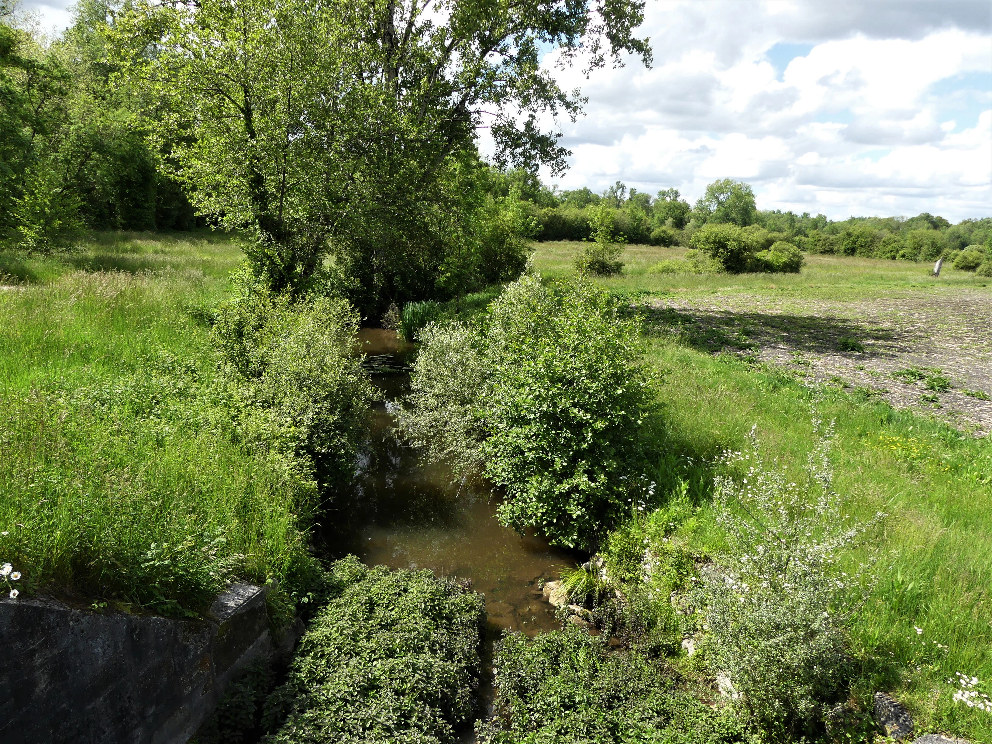 A narrow stream or canal flows through lush green wetlands and meadows, framed by trees and shrubs in the French countryside.