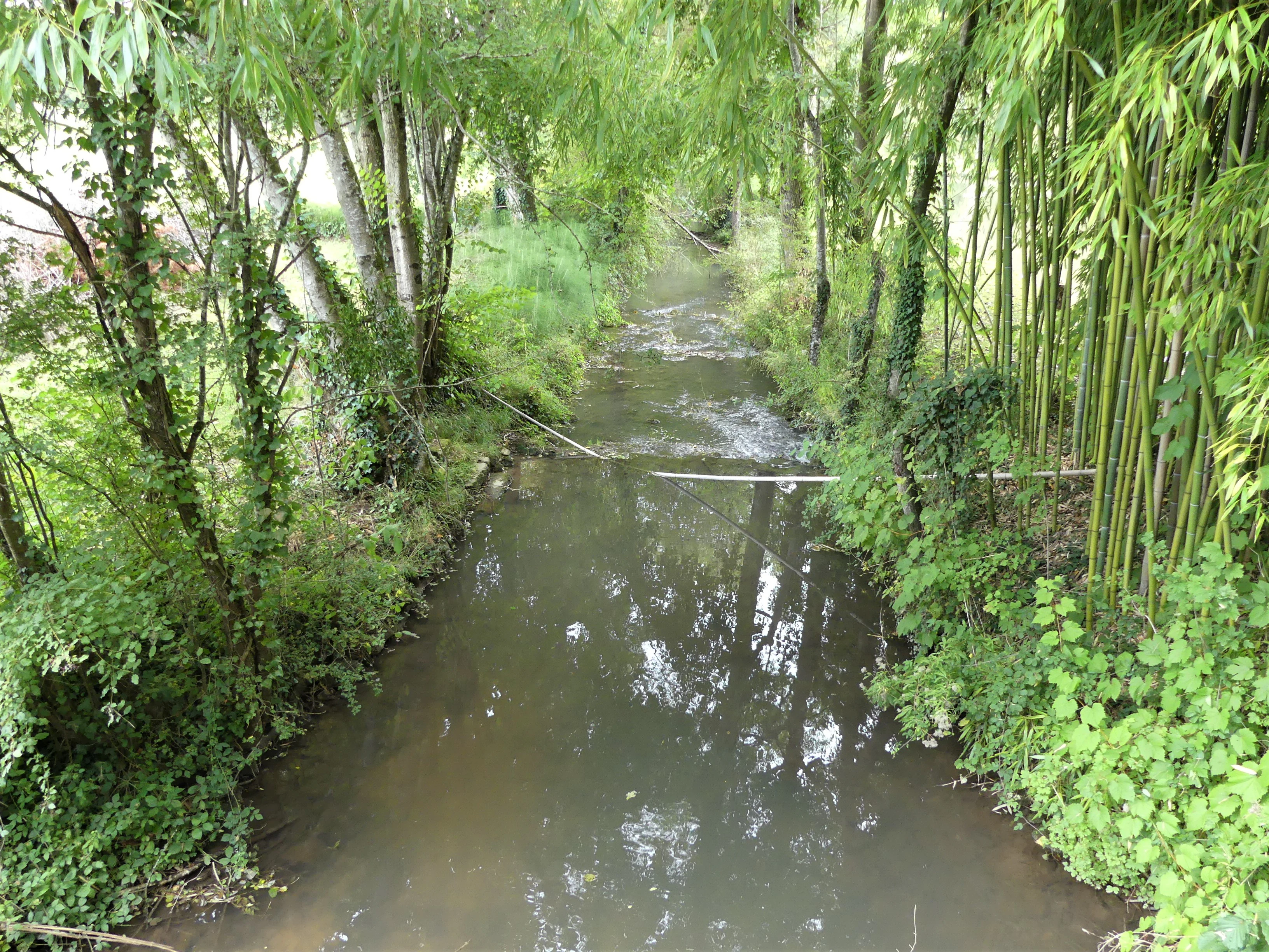 A view of the Nizonne River framed by lush green trees and bamboo on both banks, looking downstream from a bridge.