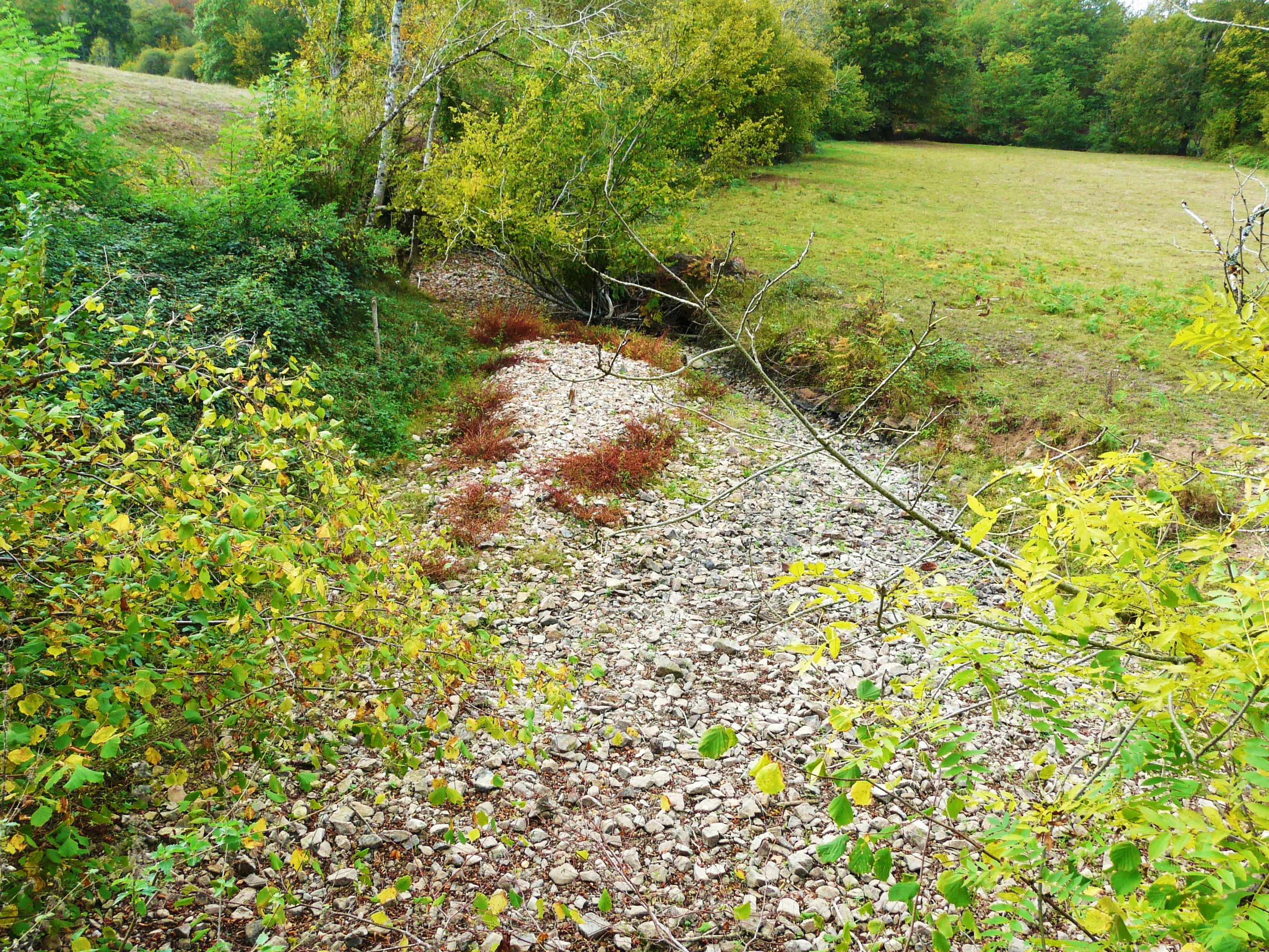 A dry, rocky stream bed surrounded by green vegetation and grass during a dry season.