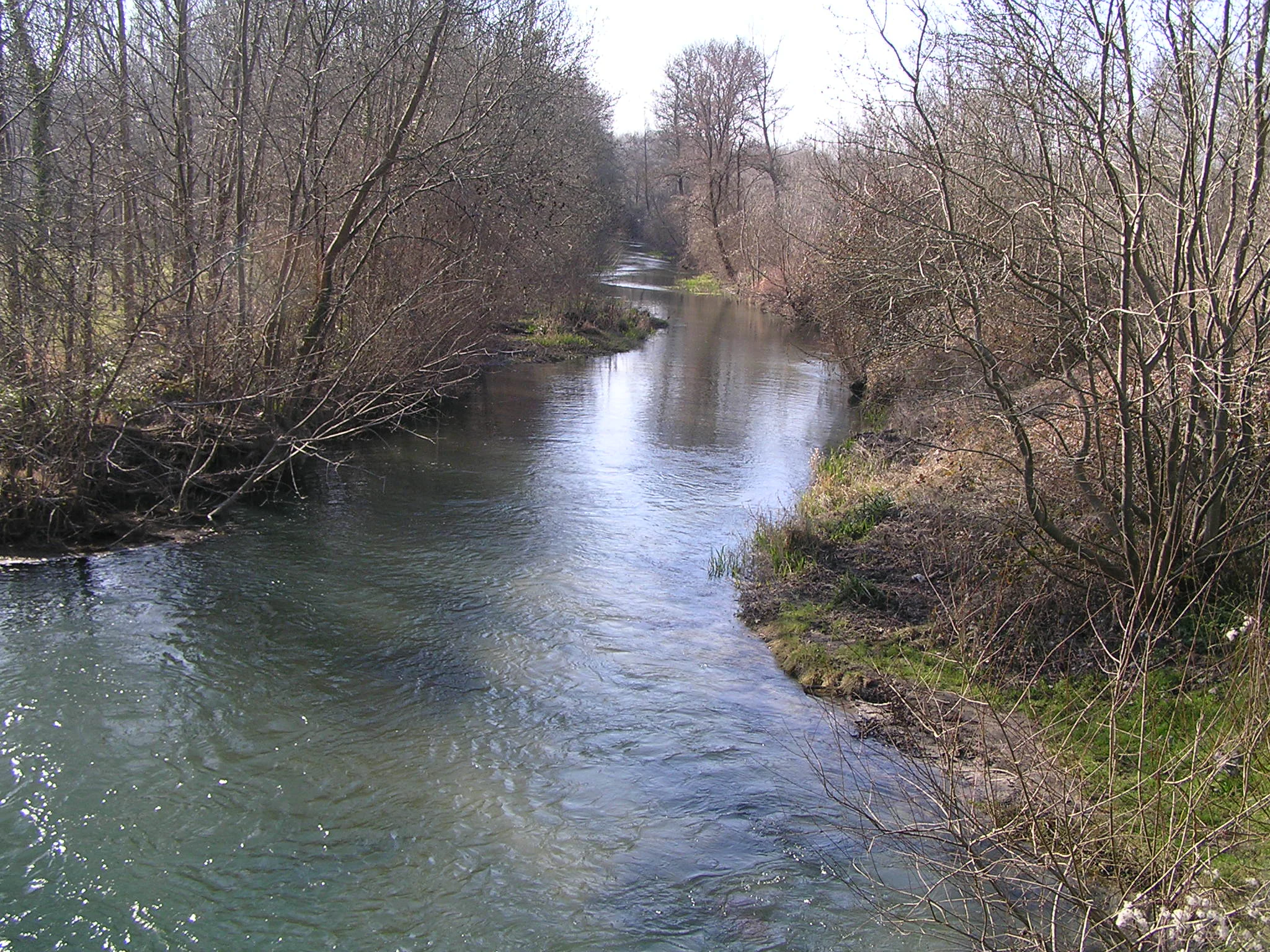 A calm river flowing through a forested valley with leafless trees lining the banks.