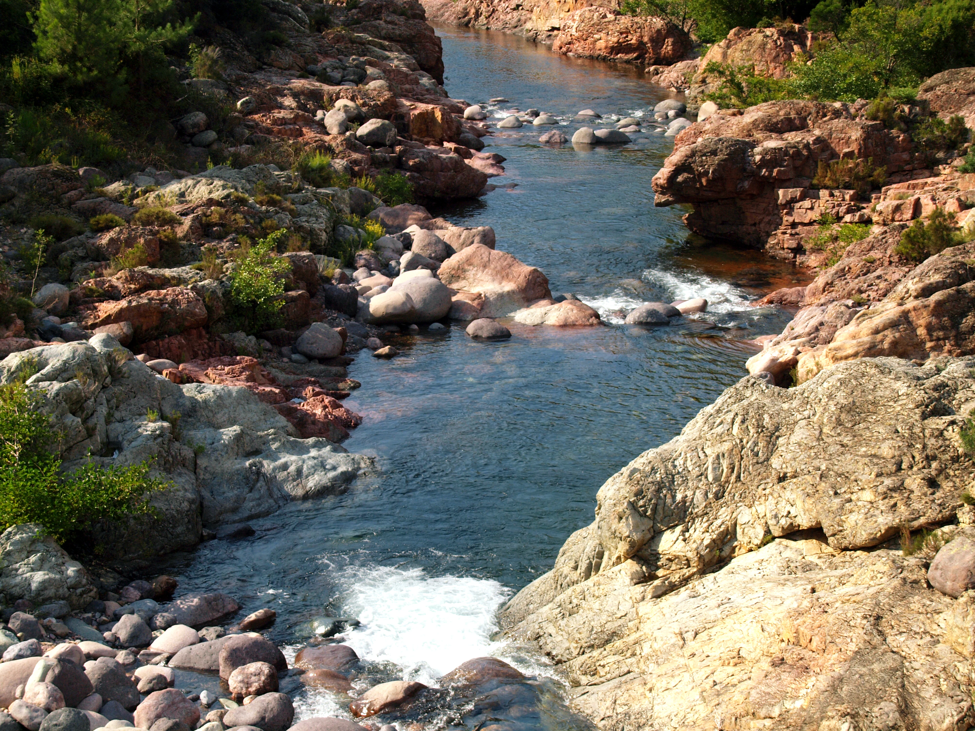 A high-angle view looking down into the Fango River as it flows through a rocky gorge with red-toned stones and lush green shrubs.