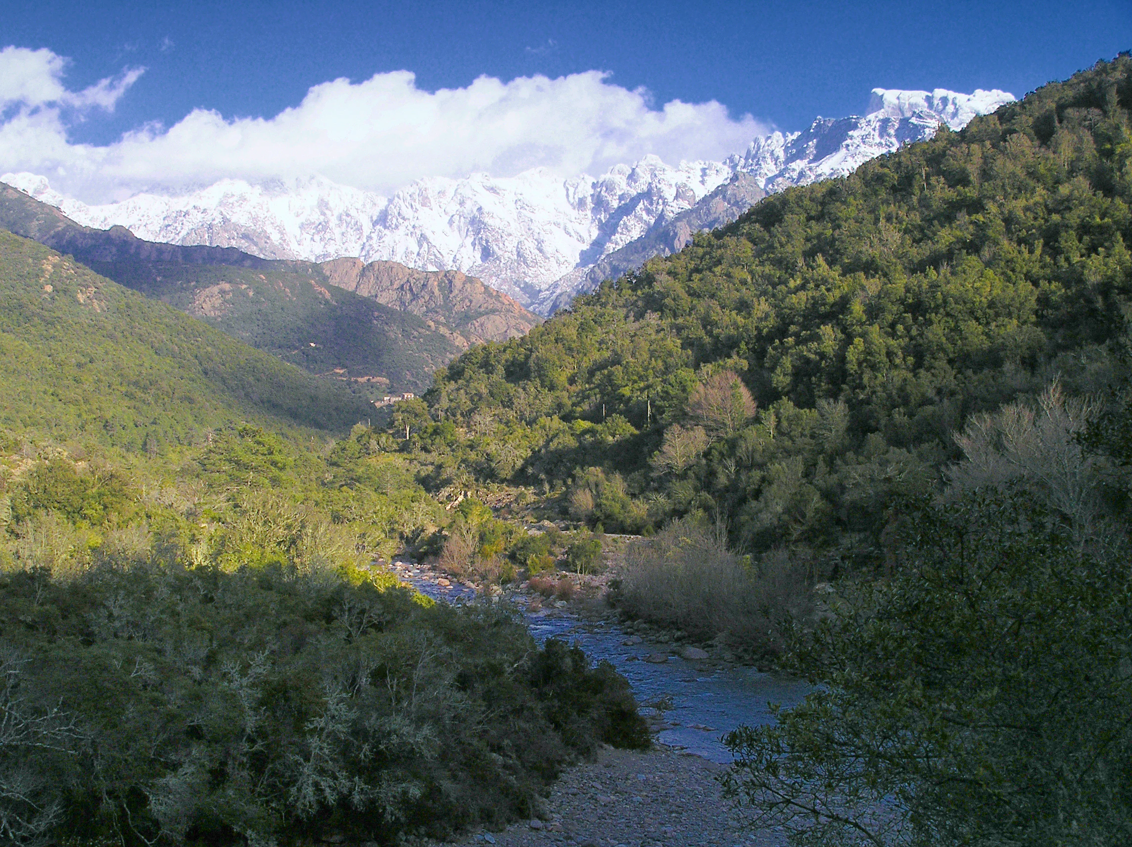 A wide landscape view of a mountain valley with a river flowing through a forested basin towards a high snow-capped mountain peak under a blue sky.